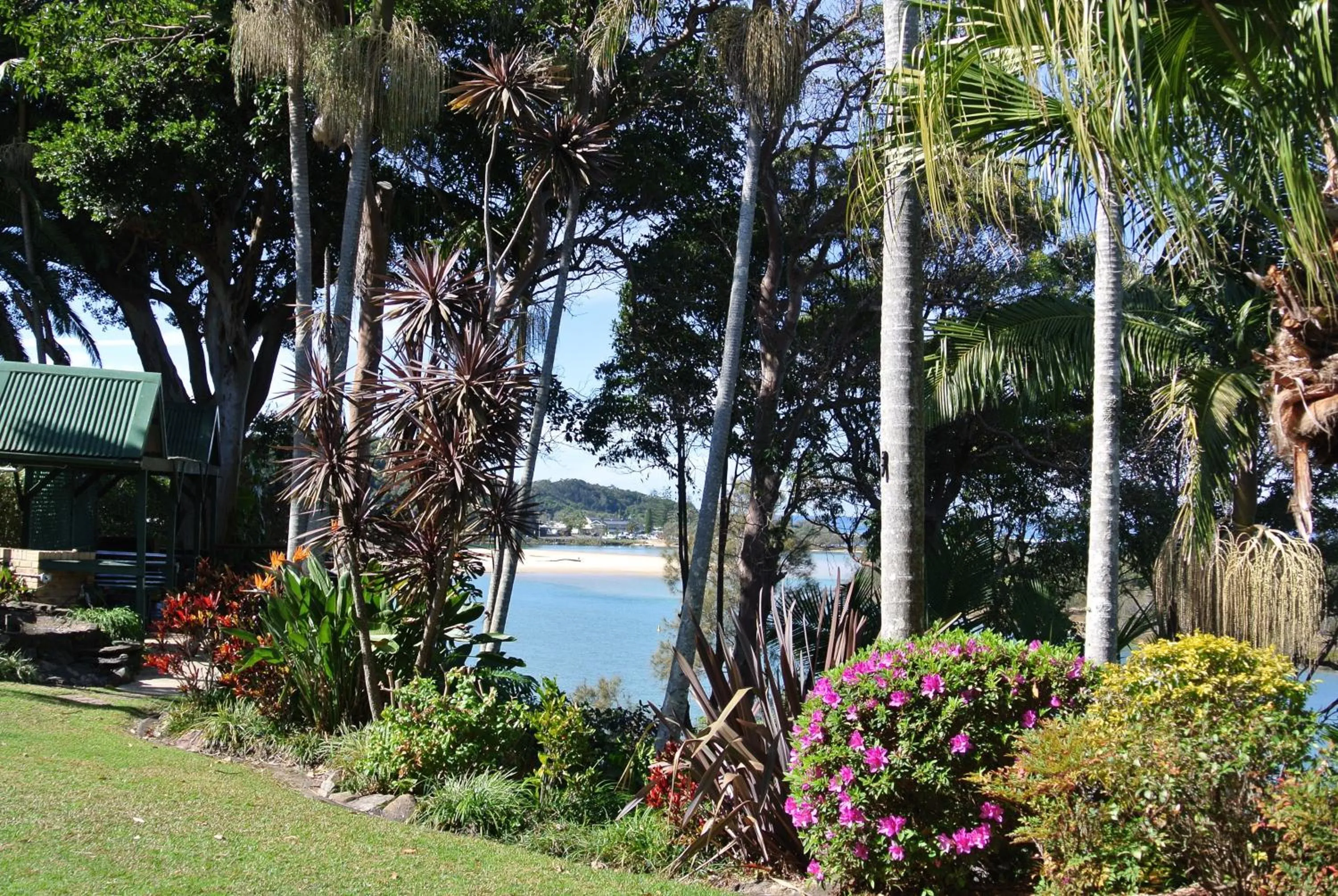 Garden in Motel Miramar