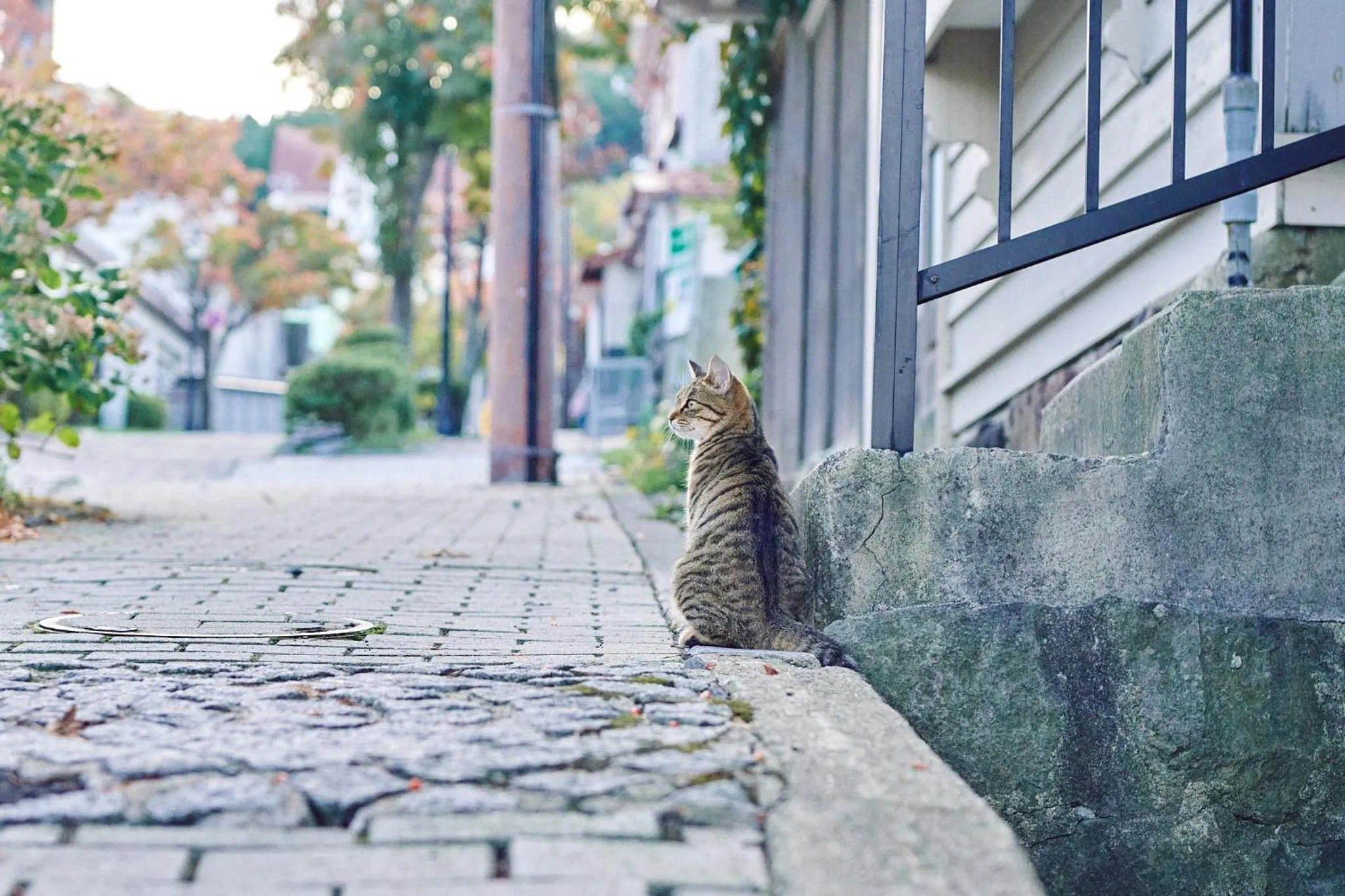 Day in SMALL TOWN HOTEL Hakodate