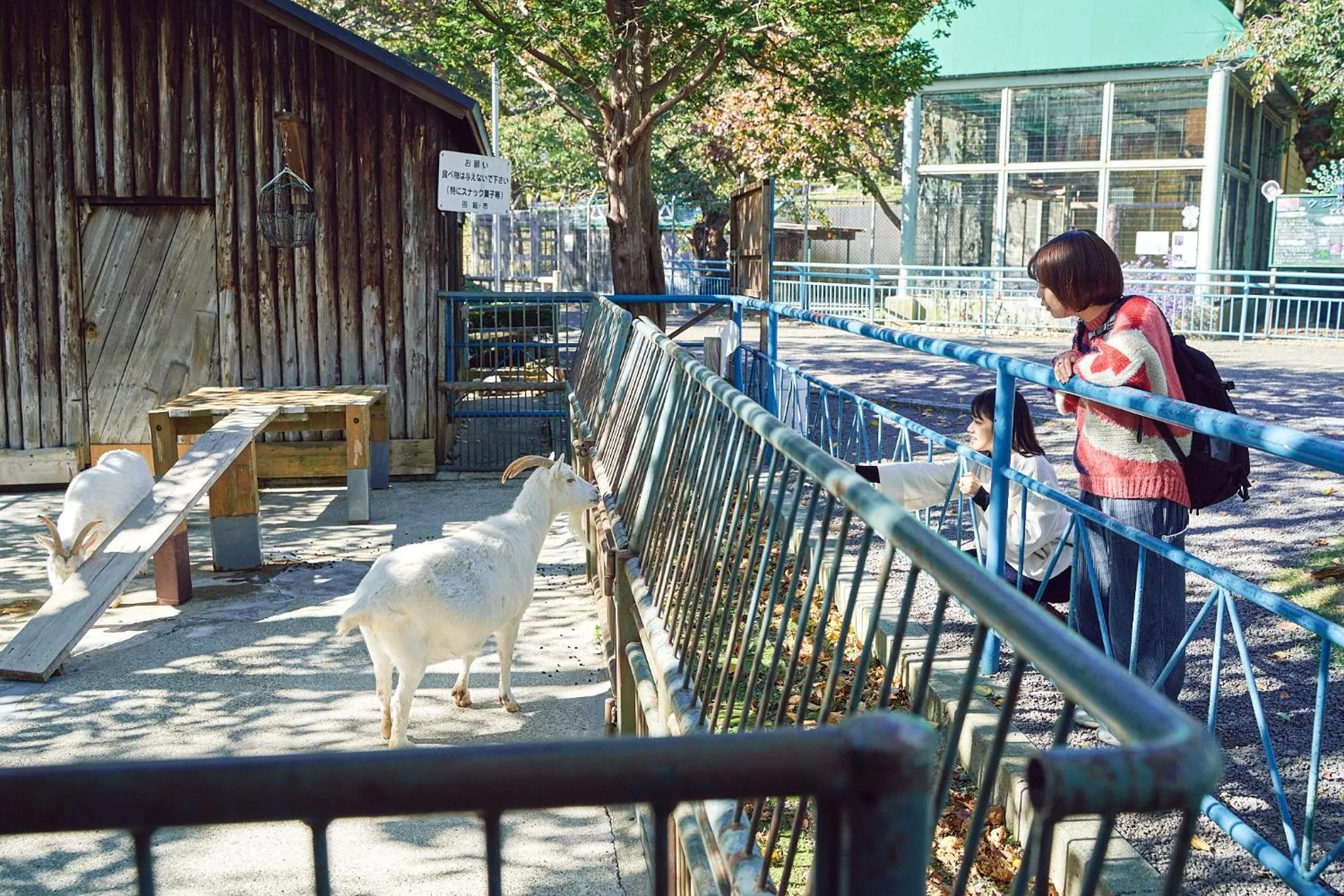 Nearby landmark in SMALL TOWN HOTEL Hakodate