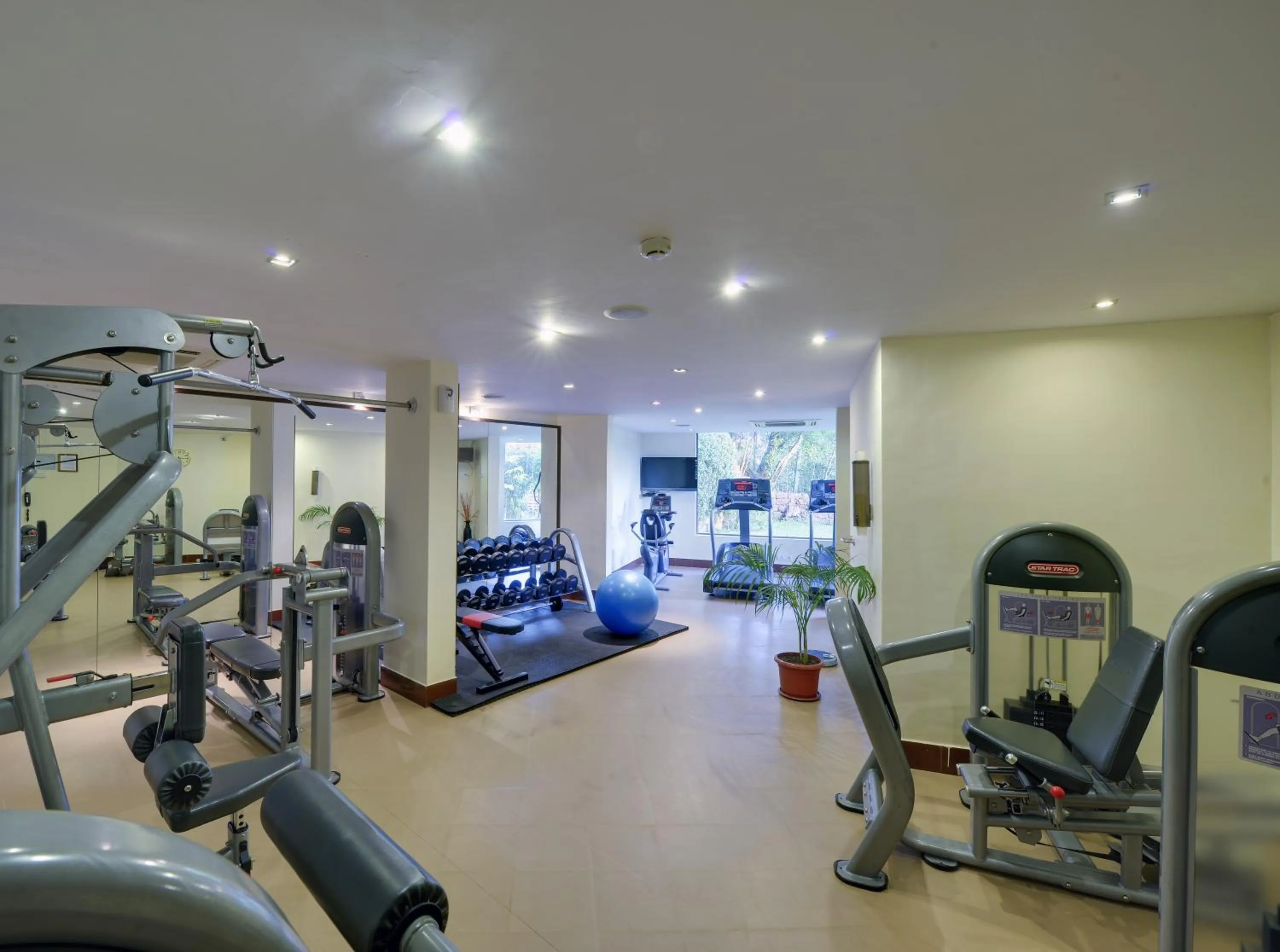 Day in The Crown Goa