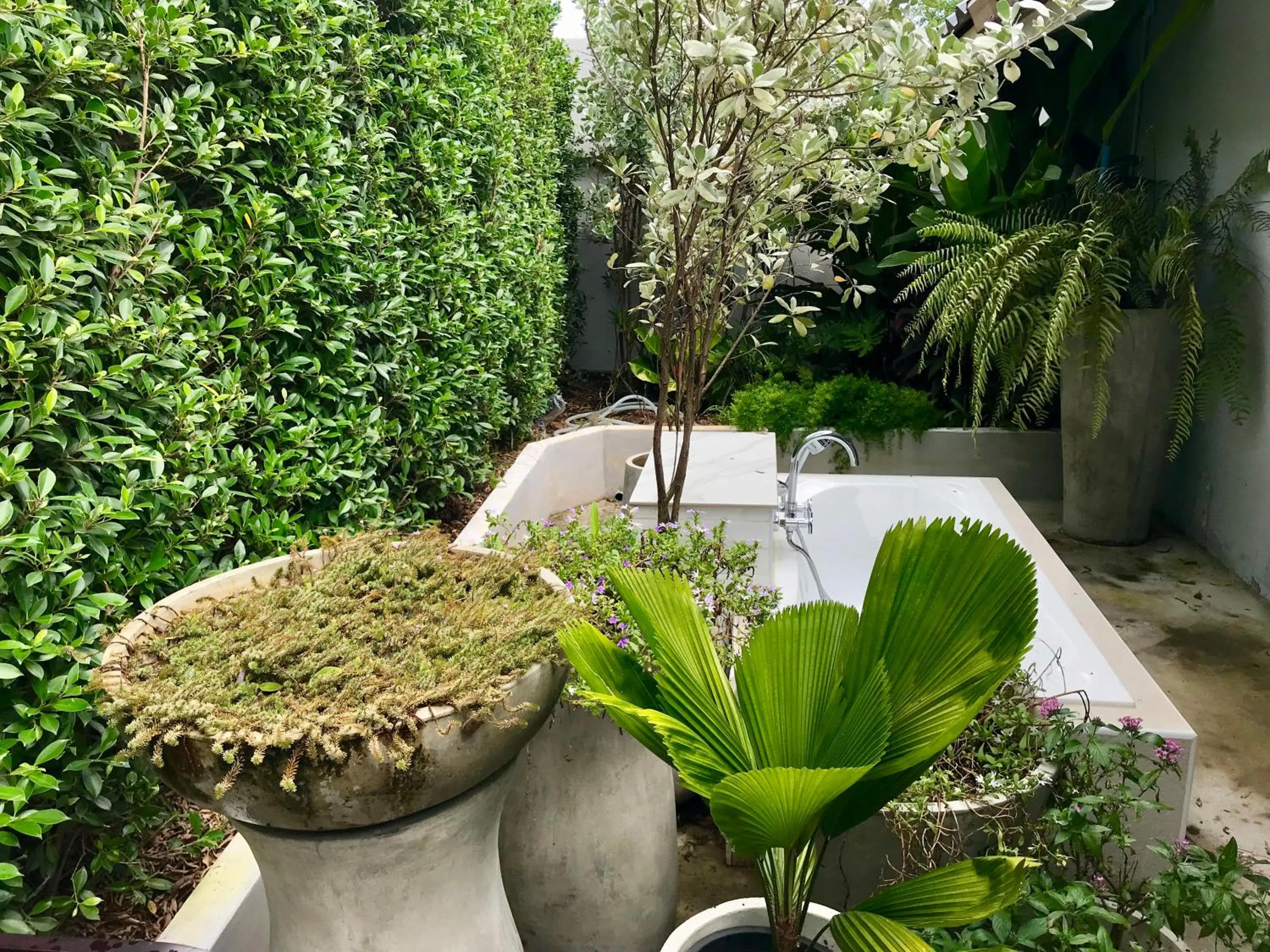 Purin Resort & Restaurant- SHA Plus