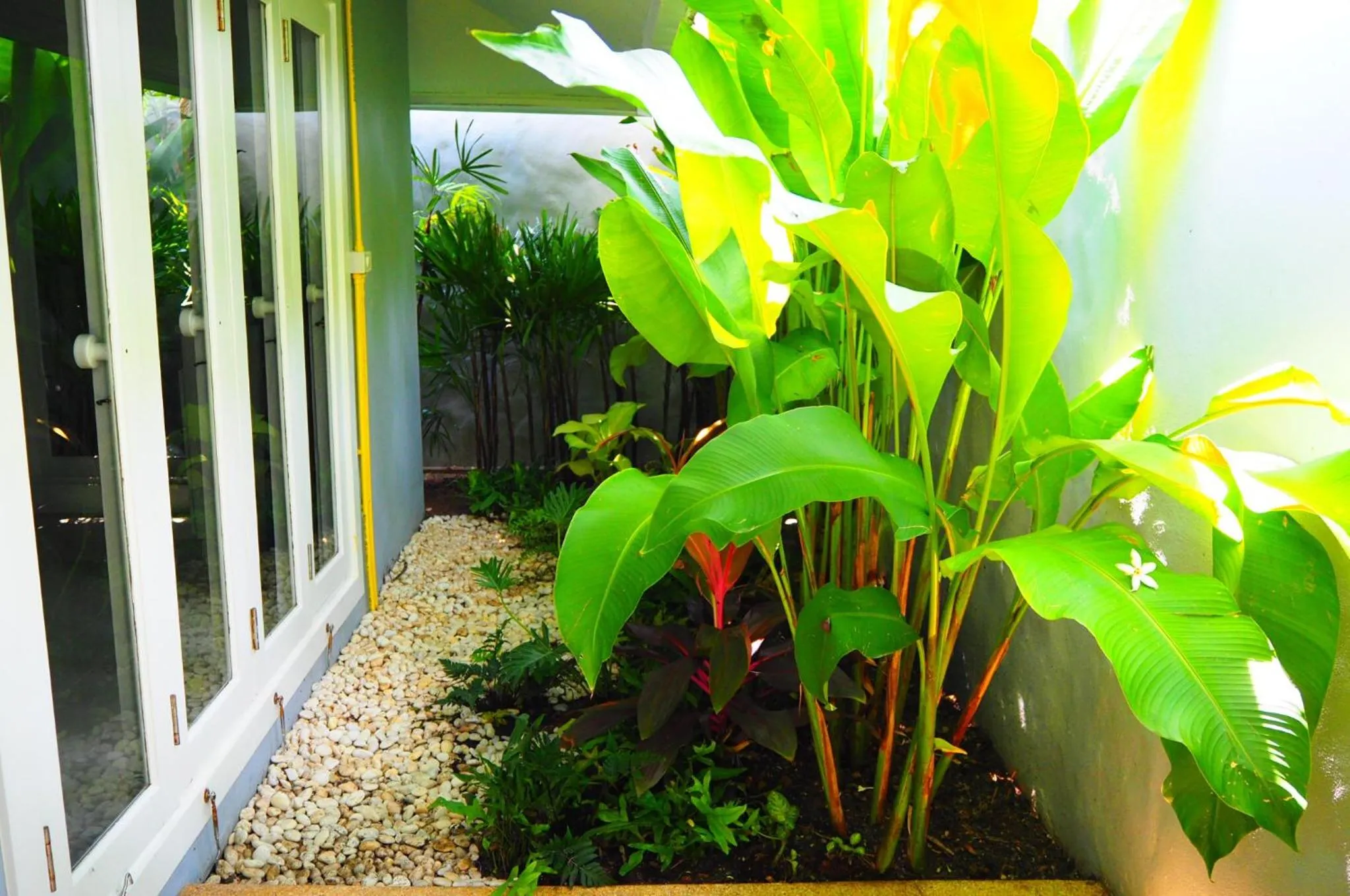 Purin Resort & Restaurant- SHA Plus