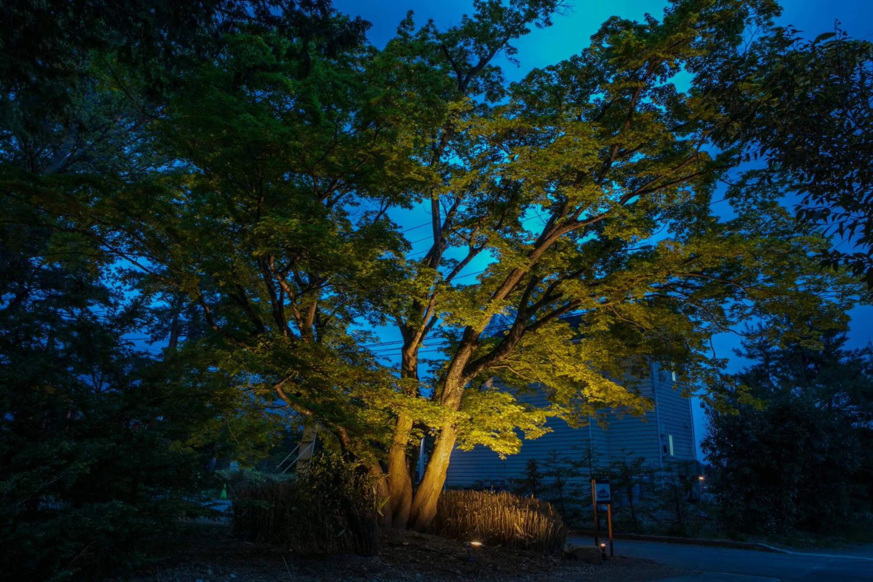 Property building in Villa Yushin