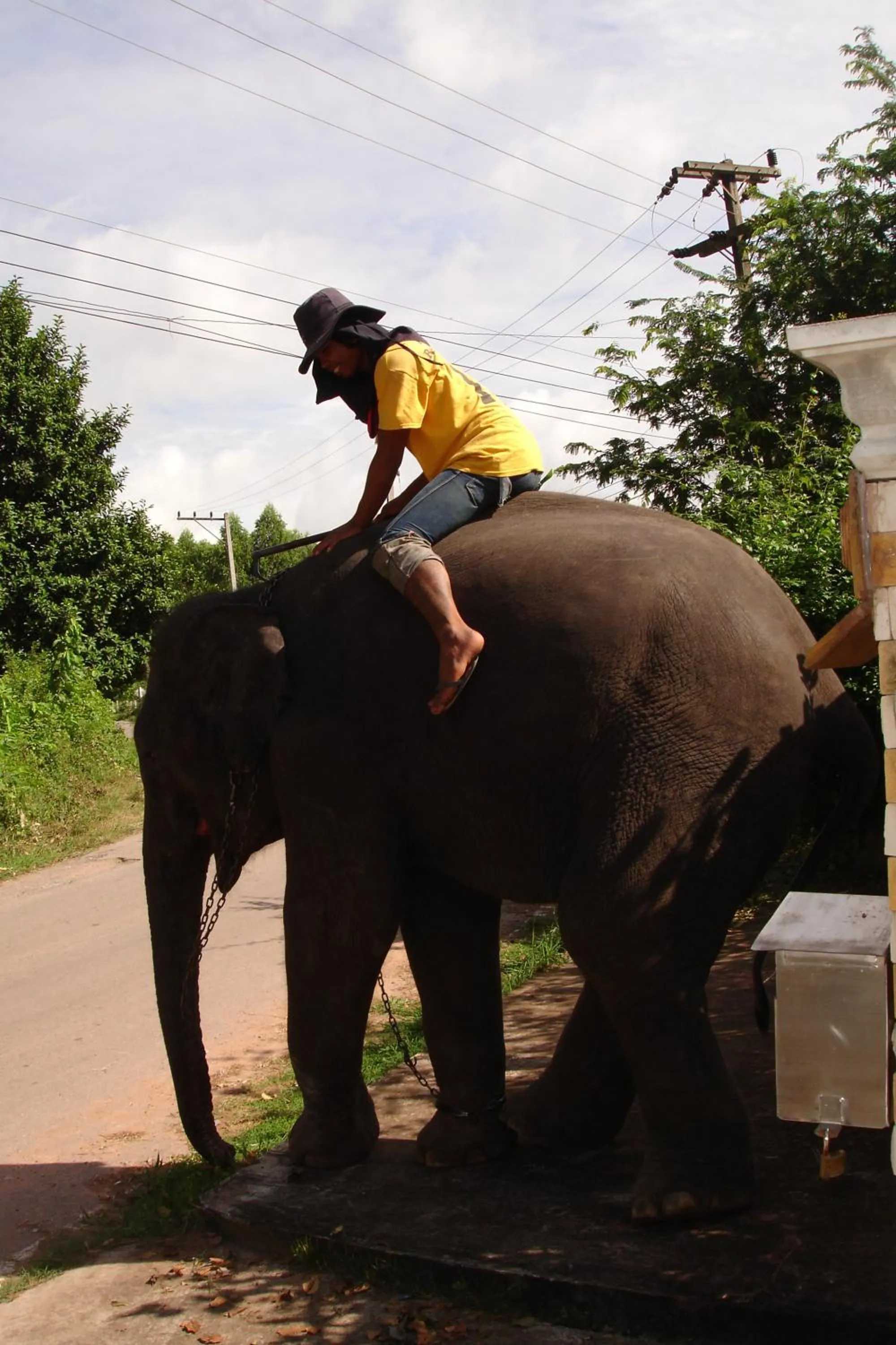 Home Stay Stc Bed And Breakfast