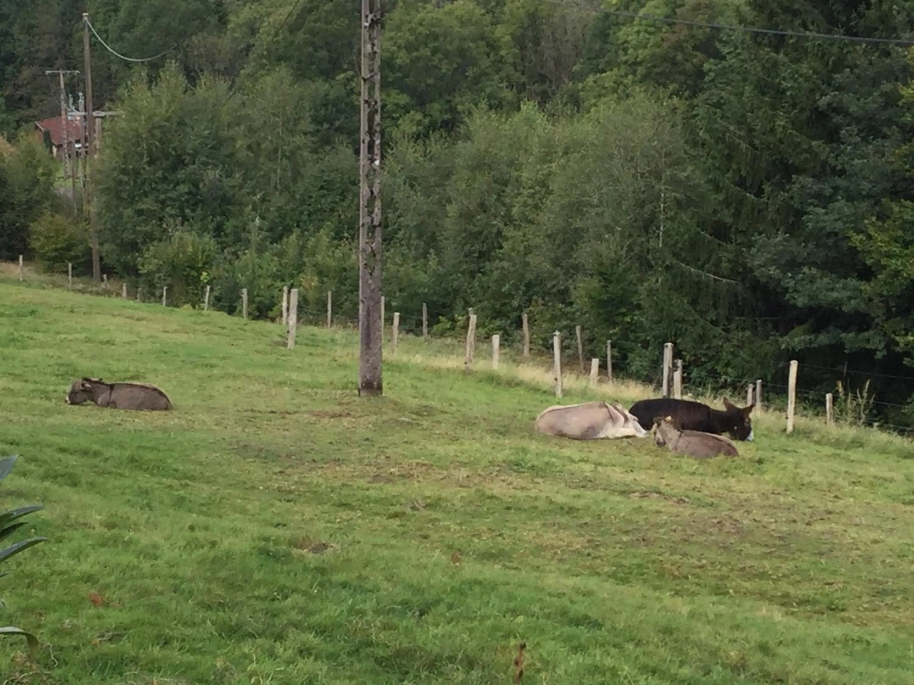 Natural landscape in La Ferme de Là-haut B&B