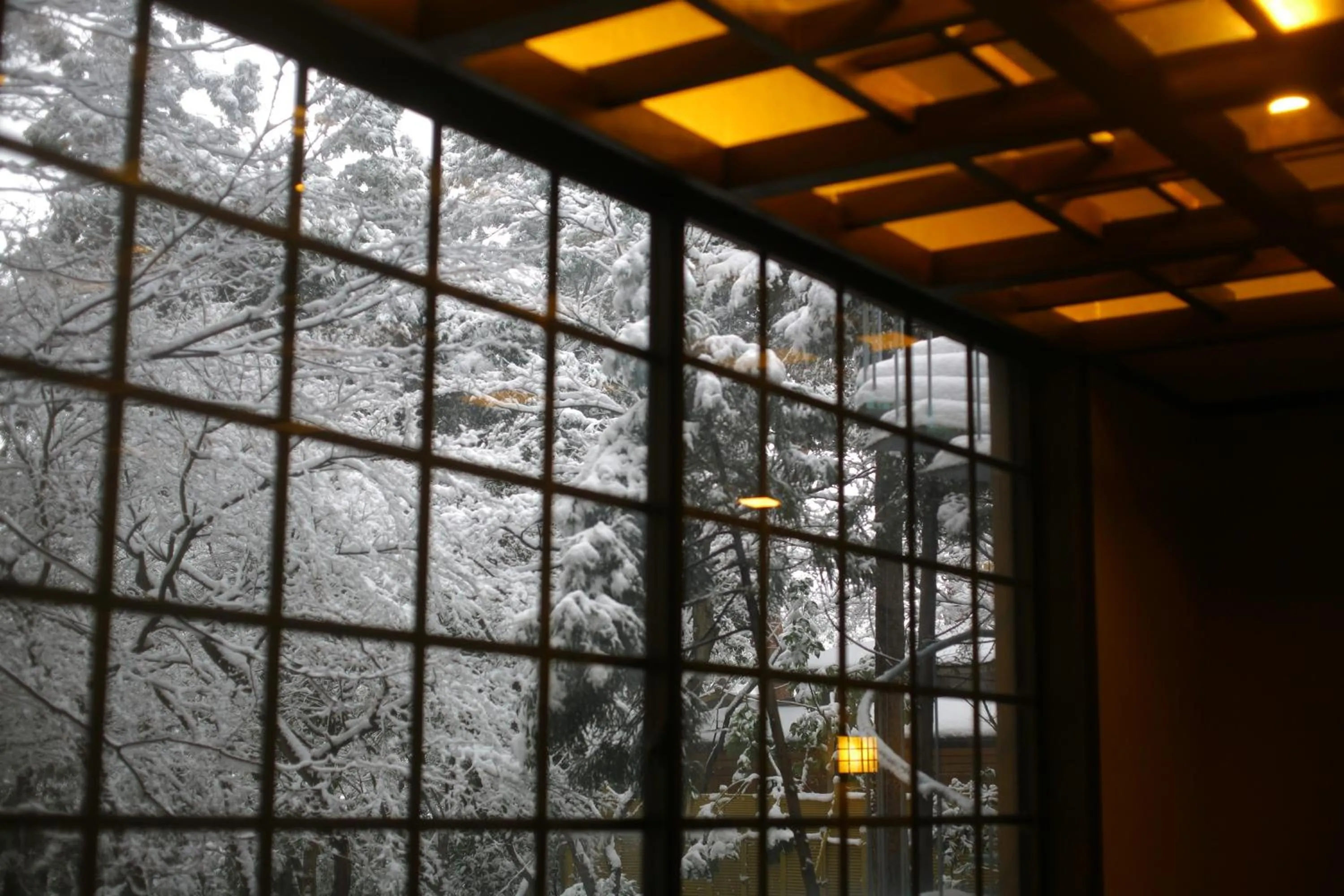 View (from property/room) in Yoshidaya Sannoukaku