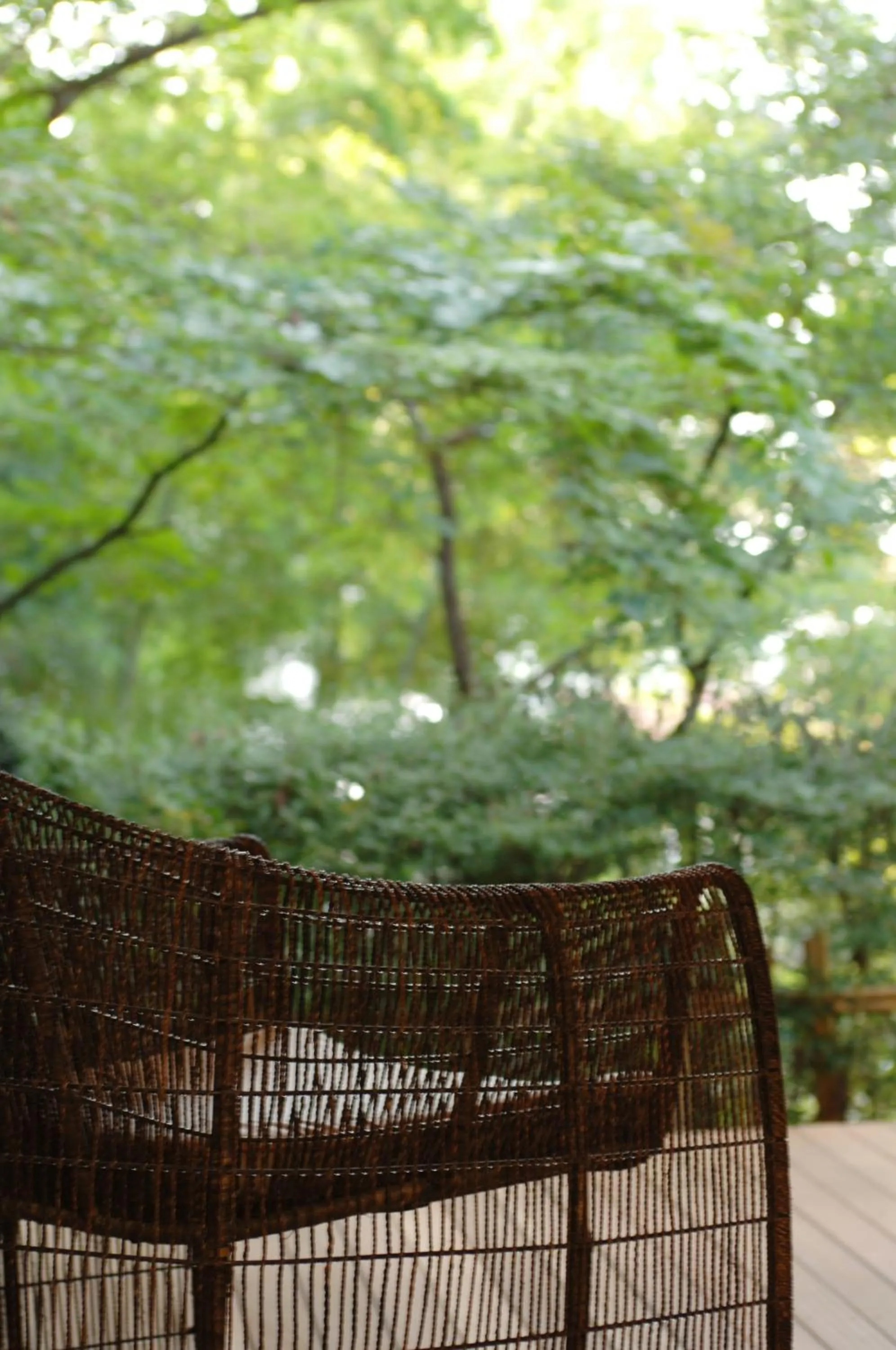 Spring in Yoshidaya Sannoukaku