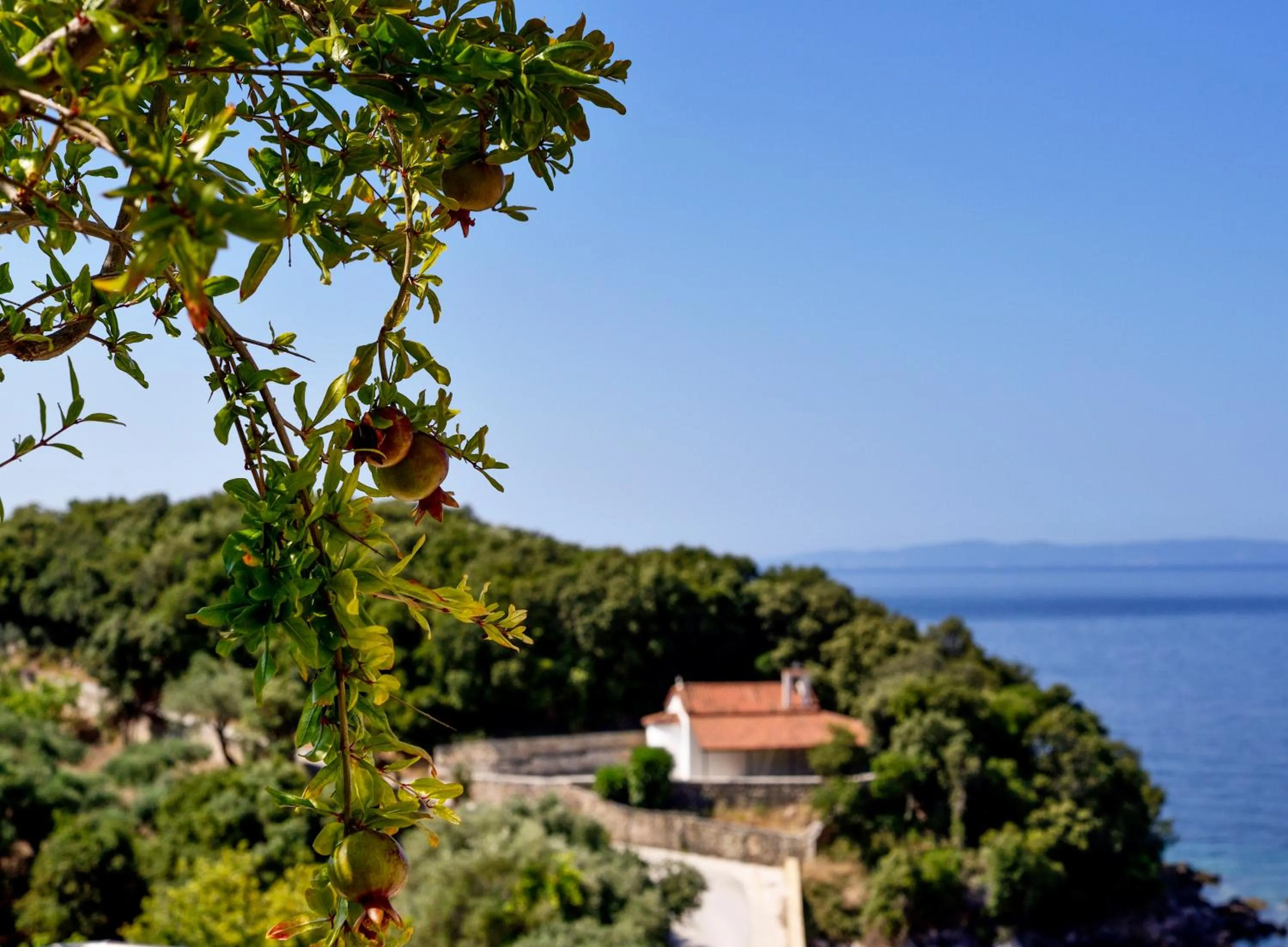Sea view in Prima Vista Beachfront Boutique Hotel