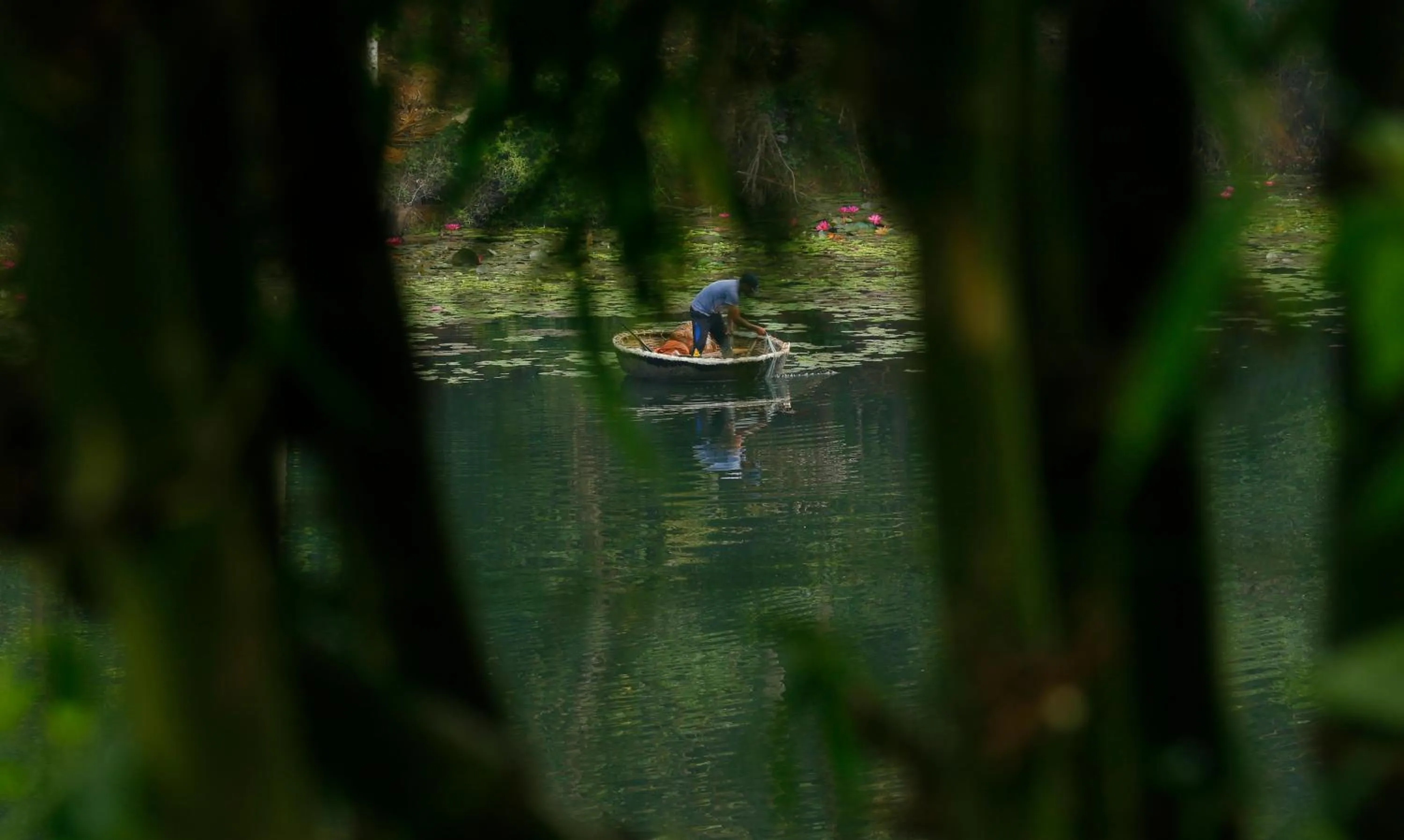 Vista Del Lago