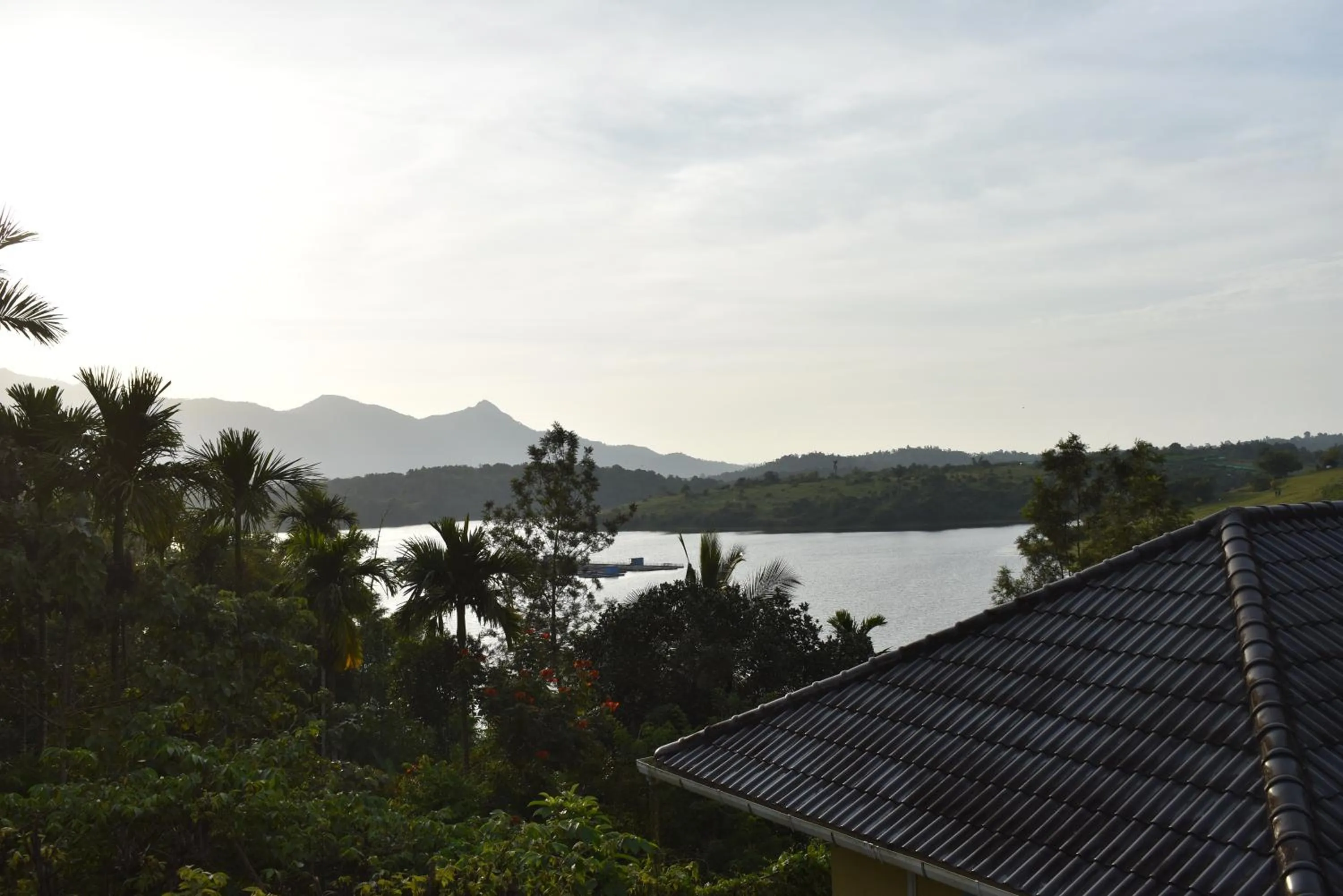 Vista Del Lago