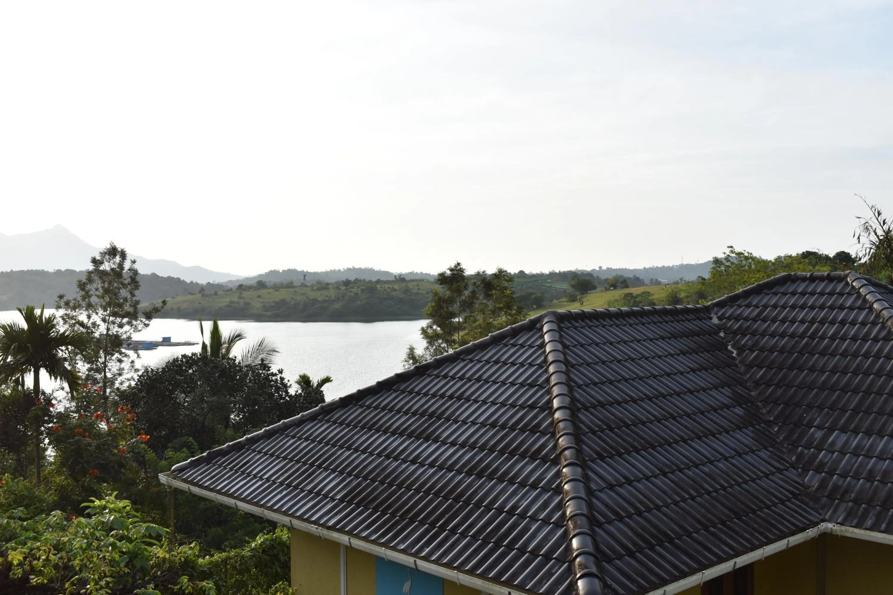 Vista Del Lago