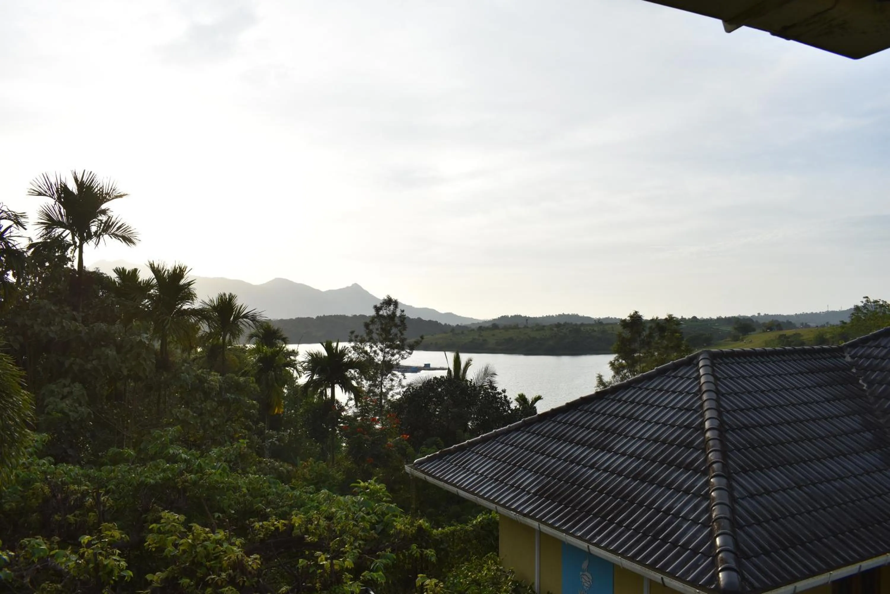 Vista Del Lago