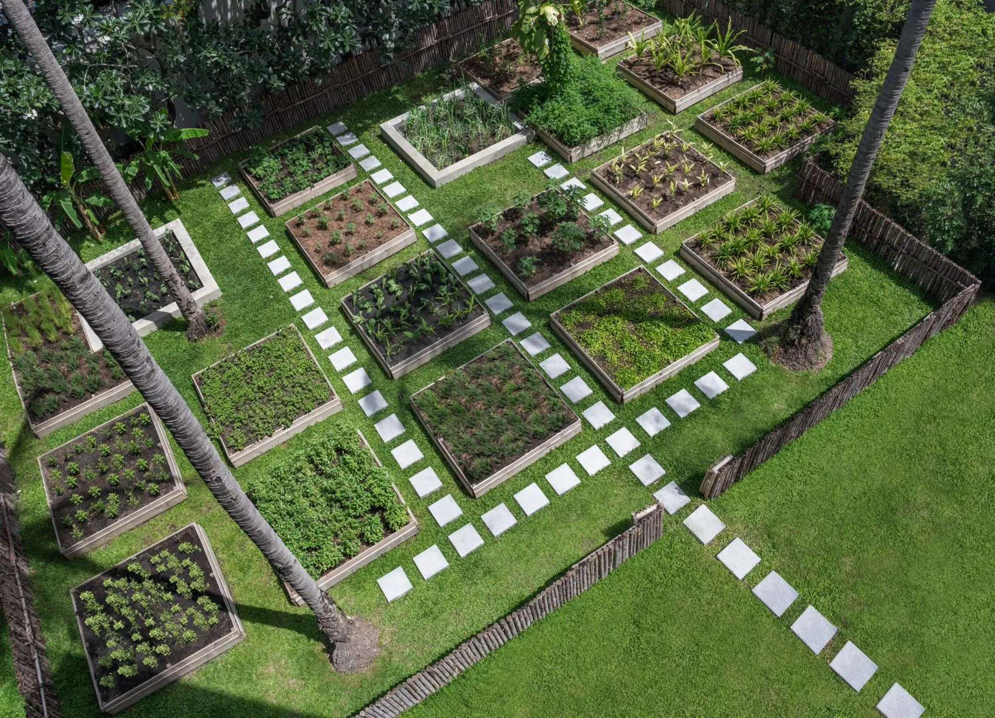 Garden in Centara Reserve Samui