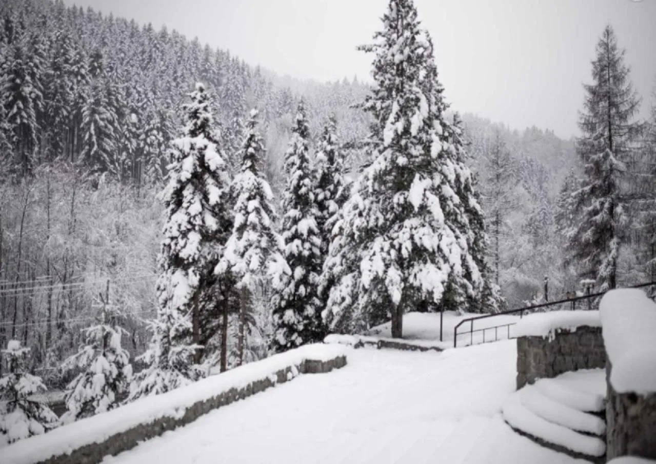 Mountain view in Hotel***NAT Piwniczna Zdrój