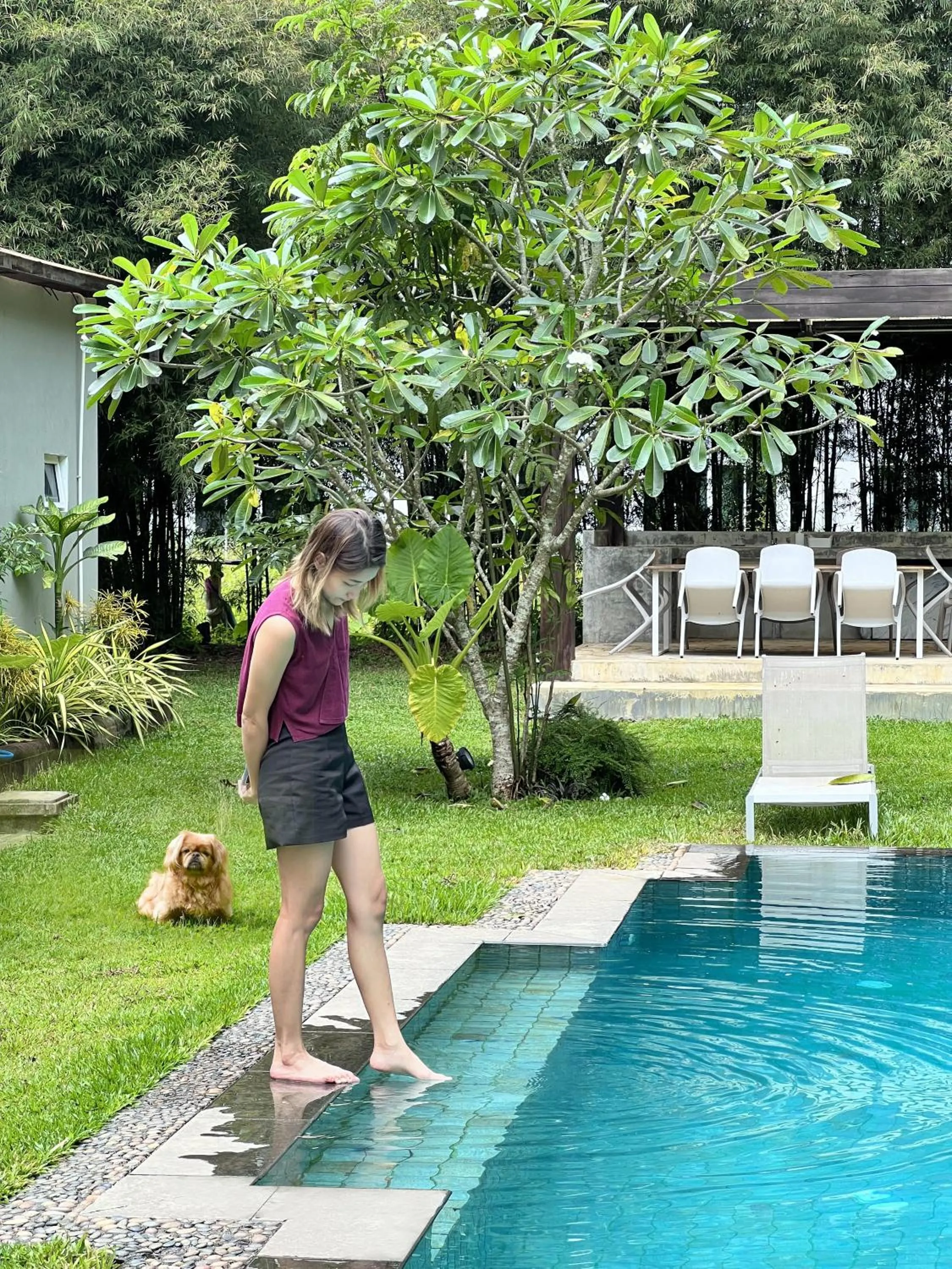 Pets in Isara Khao Lak