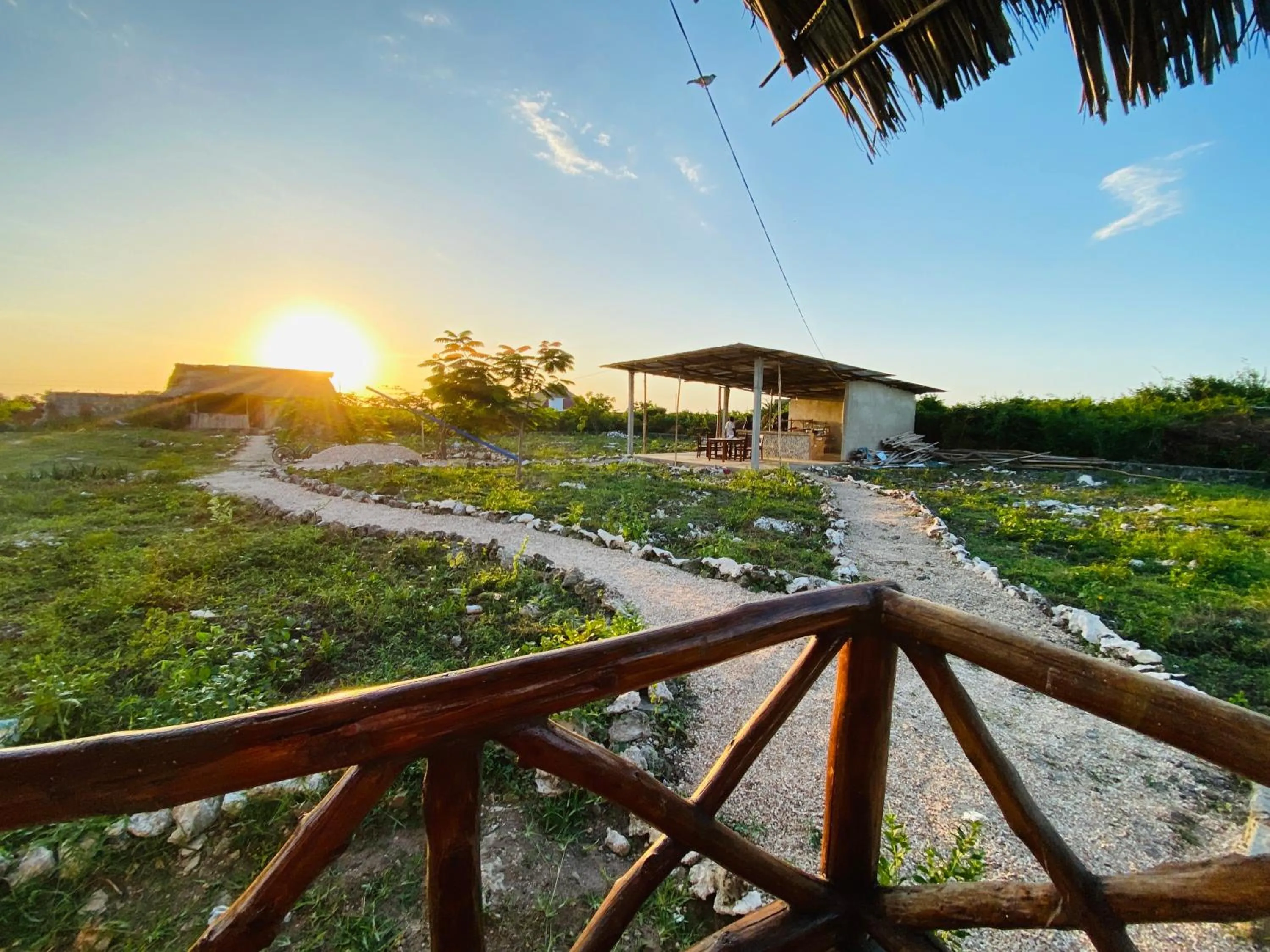 Habibis Bottle House