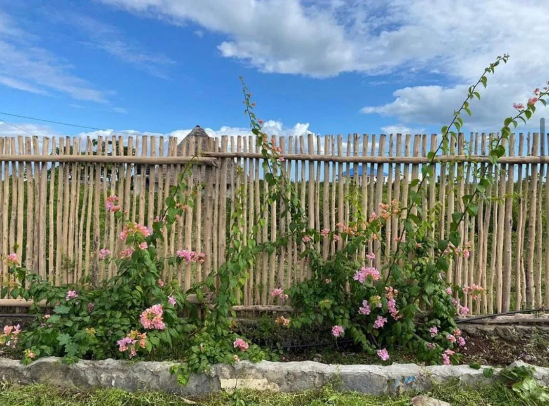 Habibis Bottle House