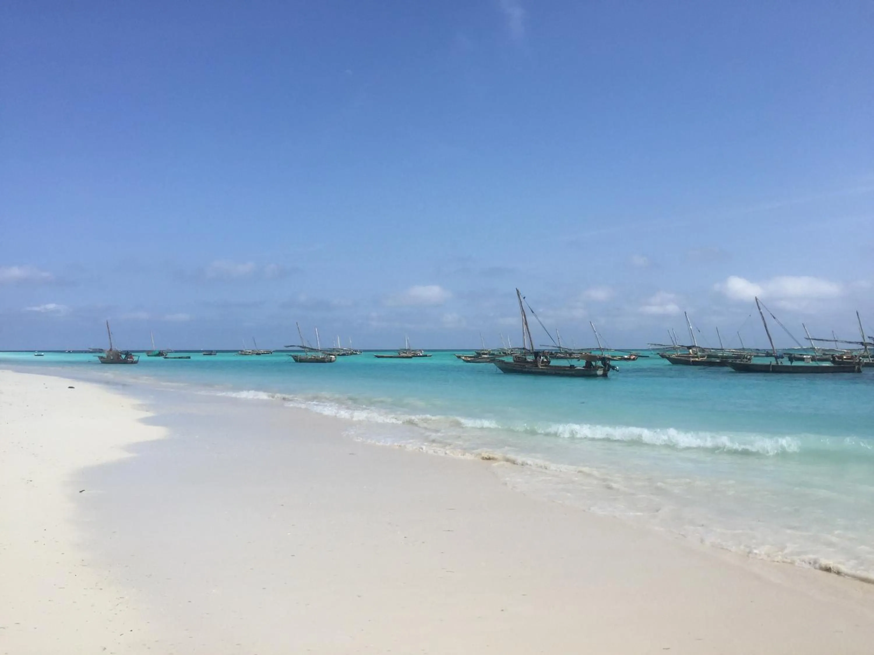 Habibis Bottle House