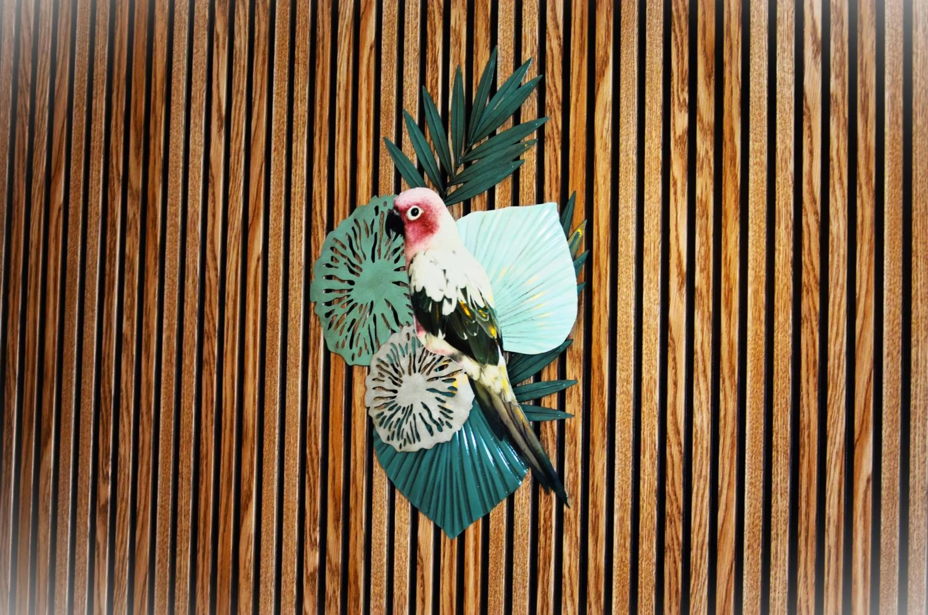 Hostal Stella Del Mare