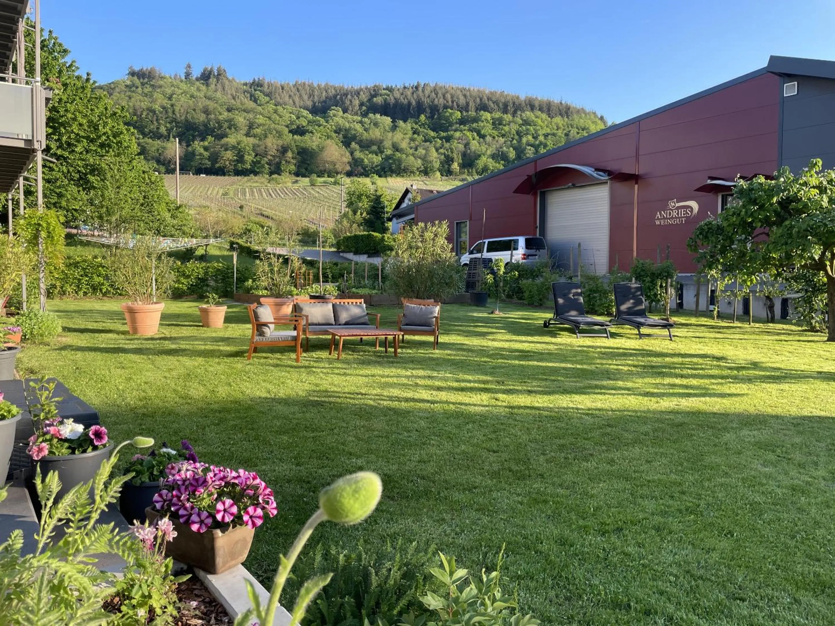 Garden in Weinbergs Loge