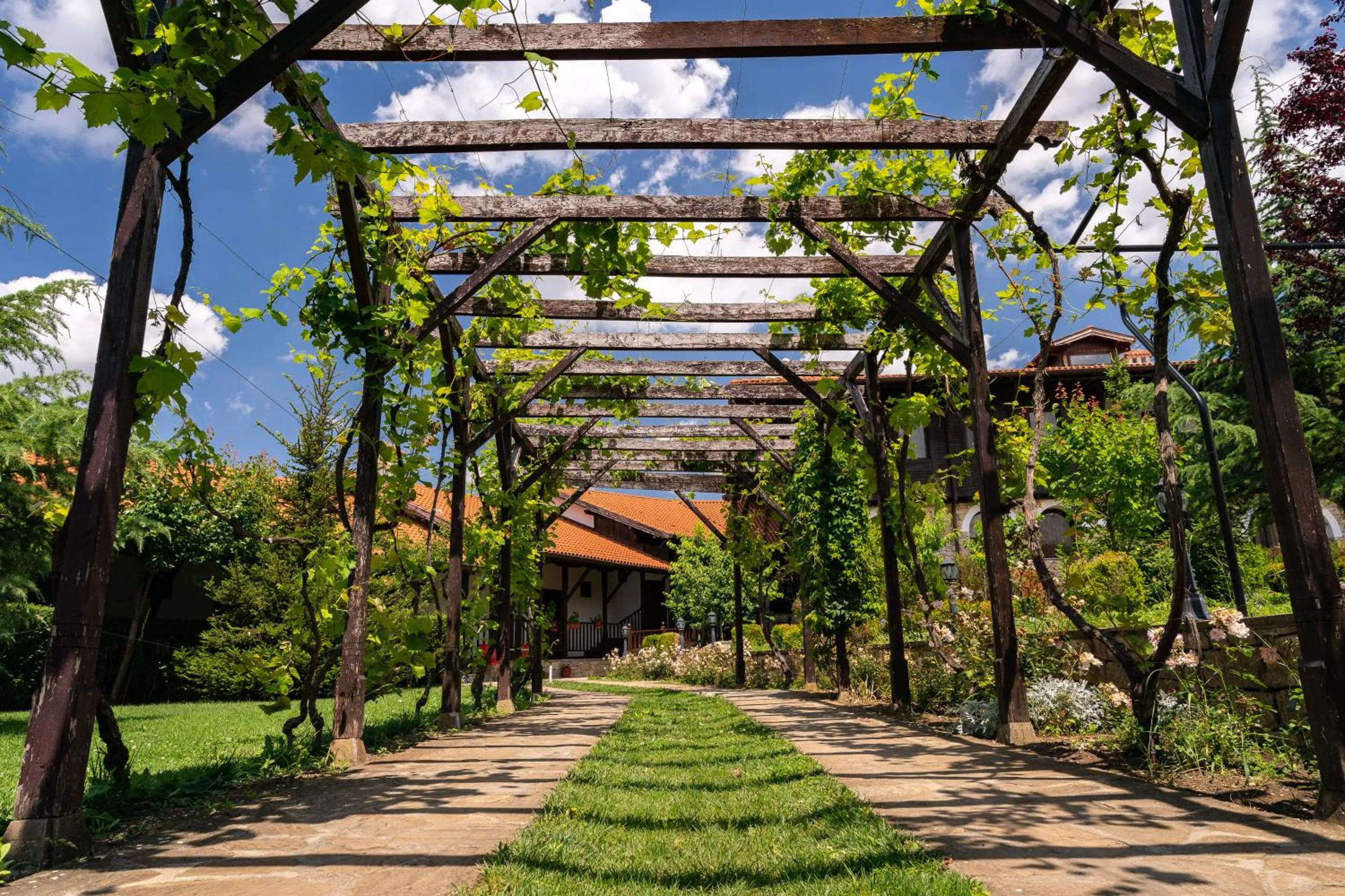 Garden view in Rachev Hotel Residence