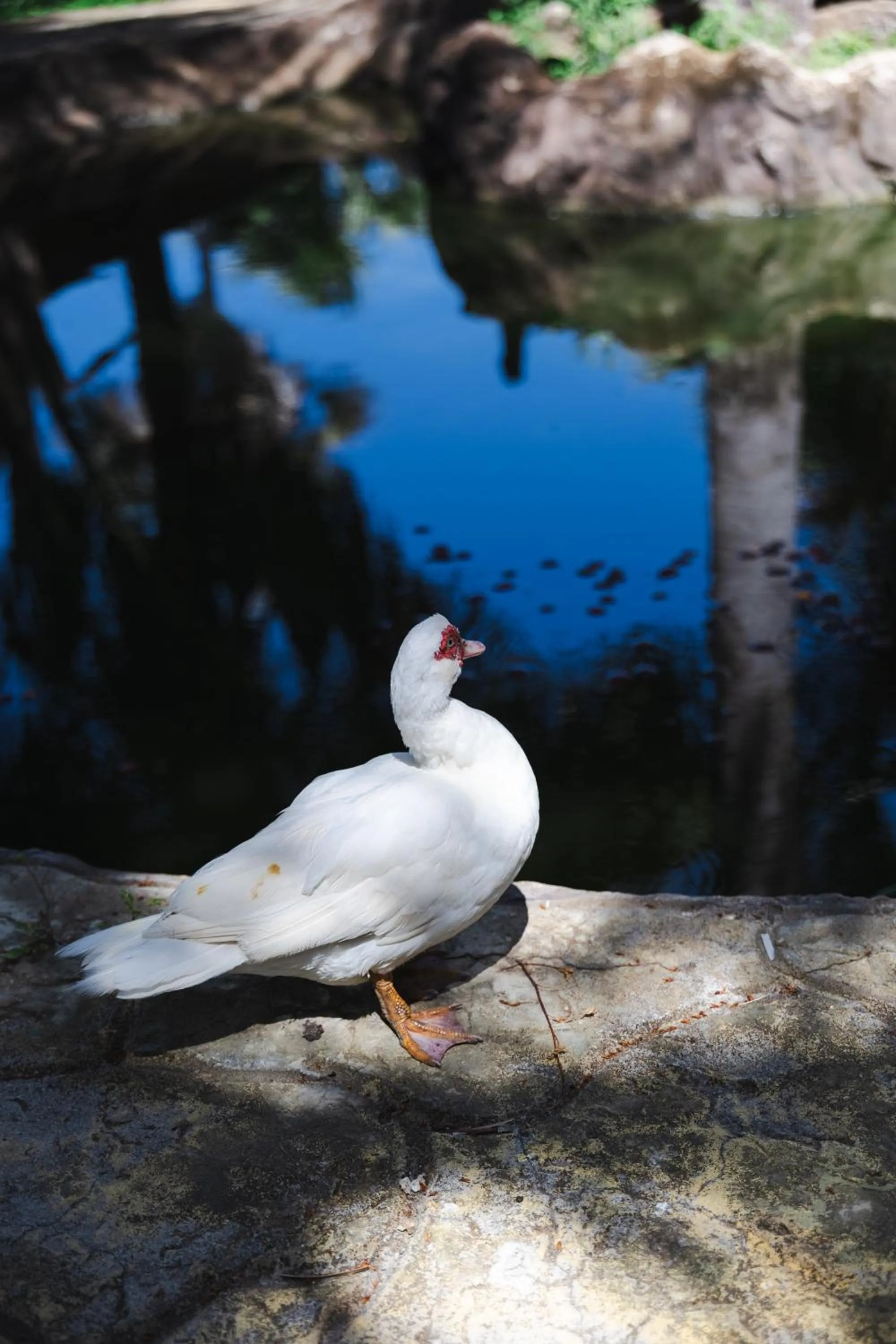 Property building in Pousada Boa Vista