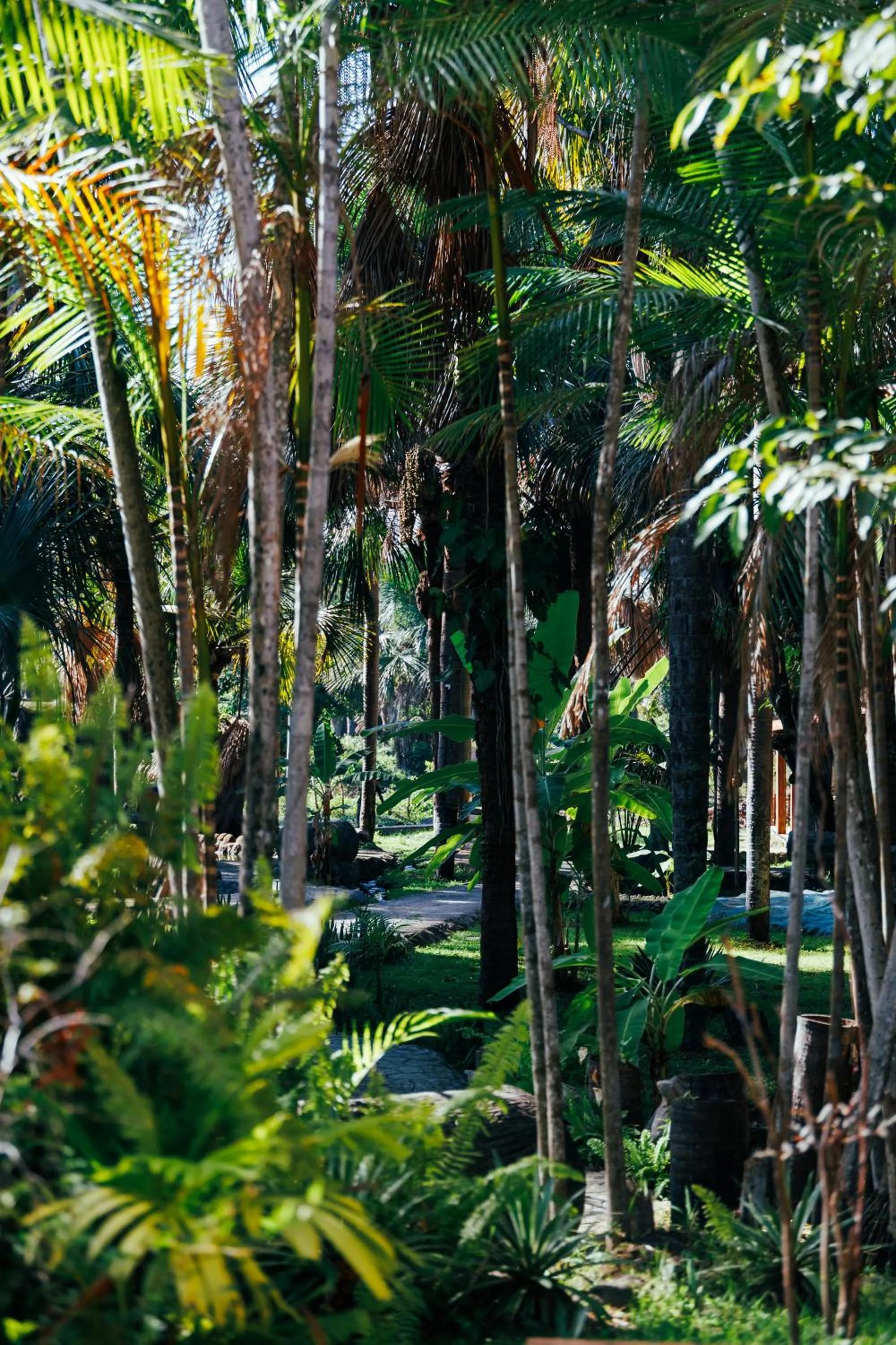 Property building in Pousada Boa Vista