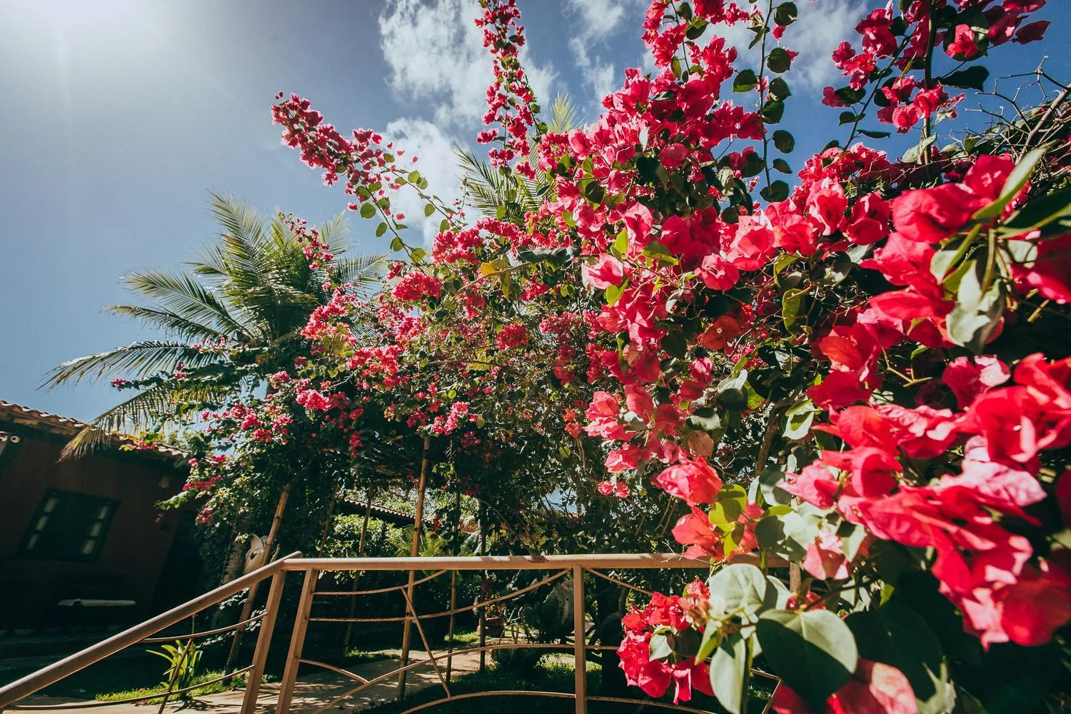 Garden in Pousada Boa Vista