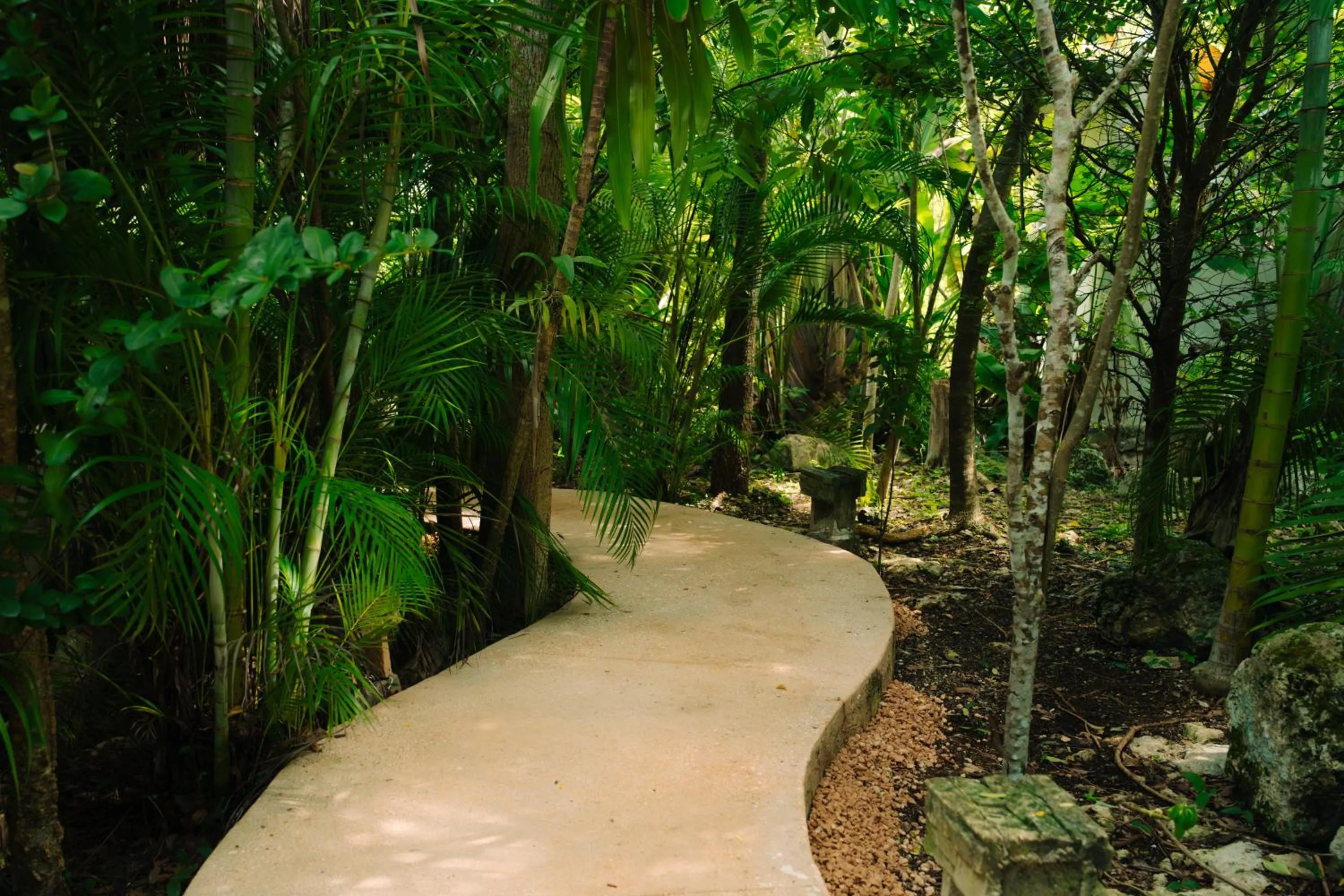 Natural landscape in Aldea Coba An Escape Boutique Experience