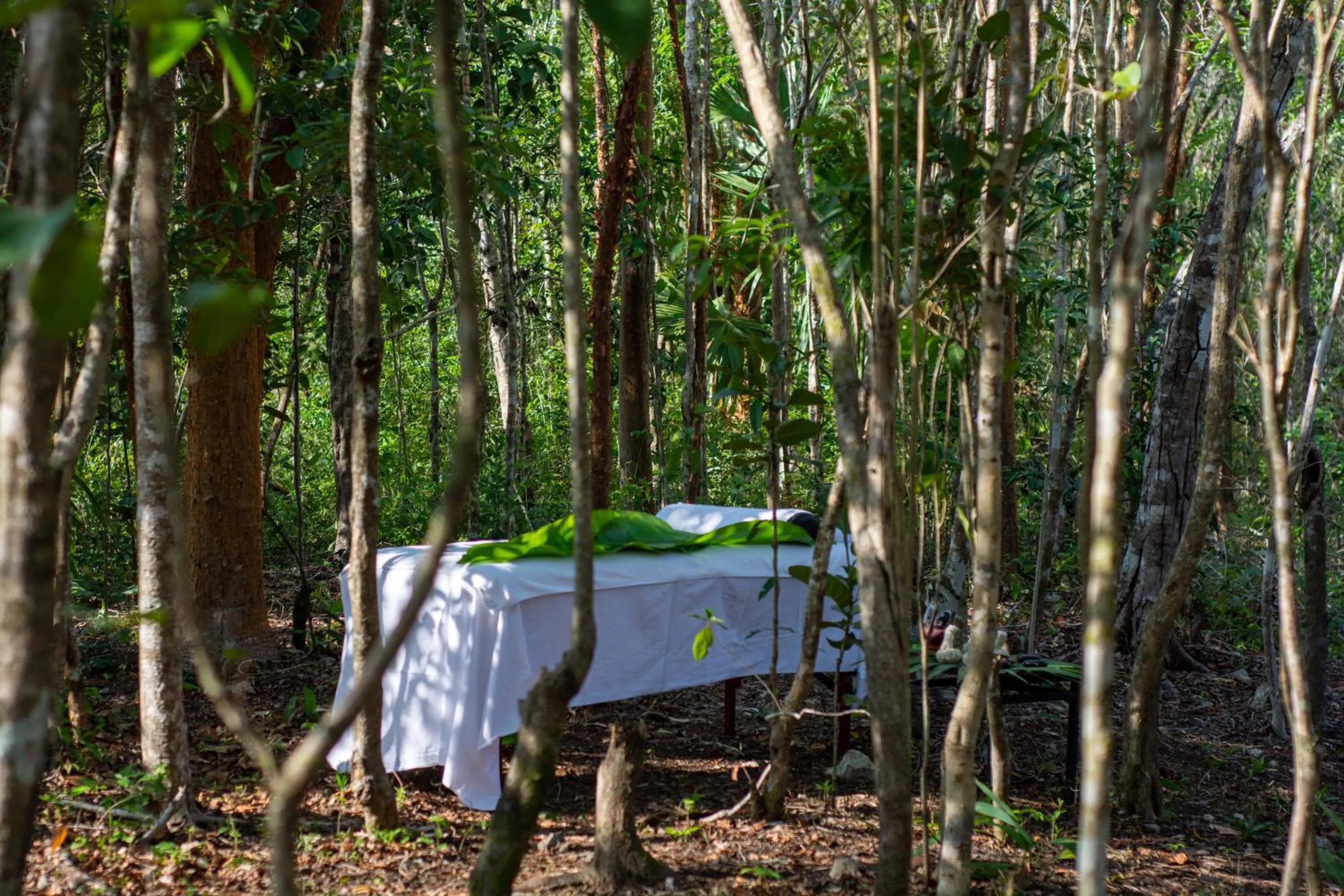 Massage in Aldea Coba An Escape Boutique Experience