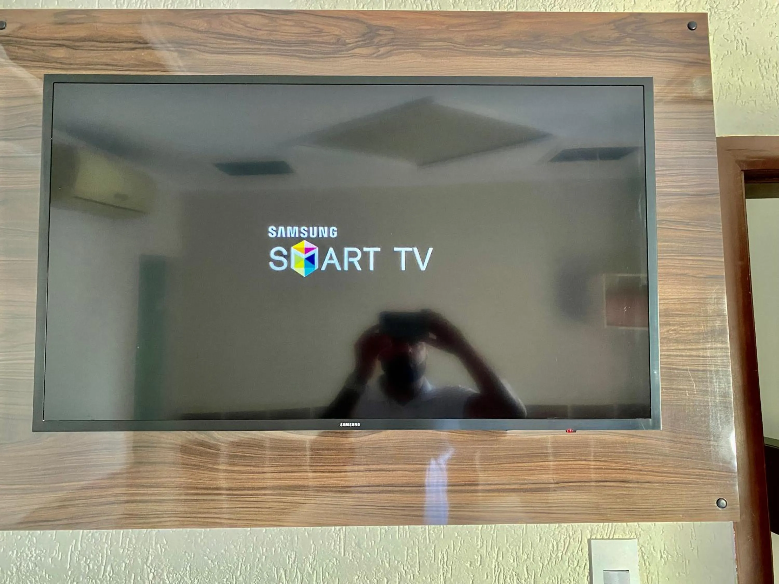 TV and multimedia in Hotel Praça da Árvore - São Paulo Expo