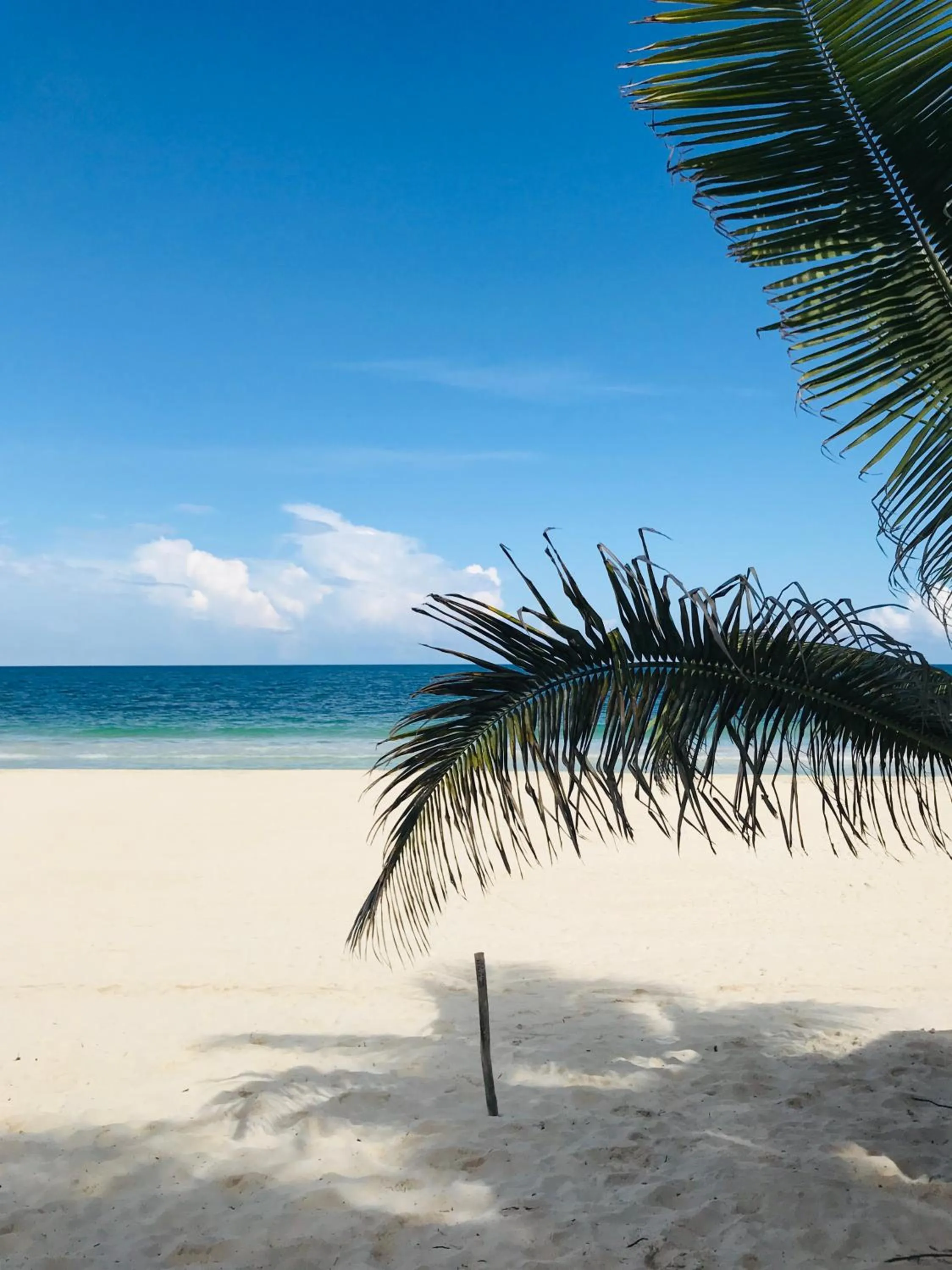 Luxury 5th Avenue Menesse 32