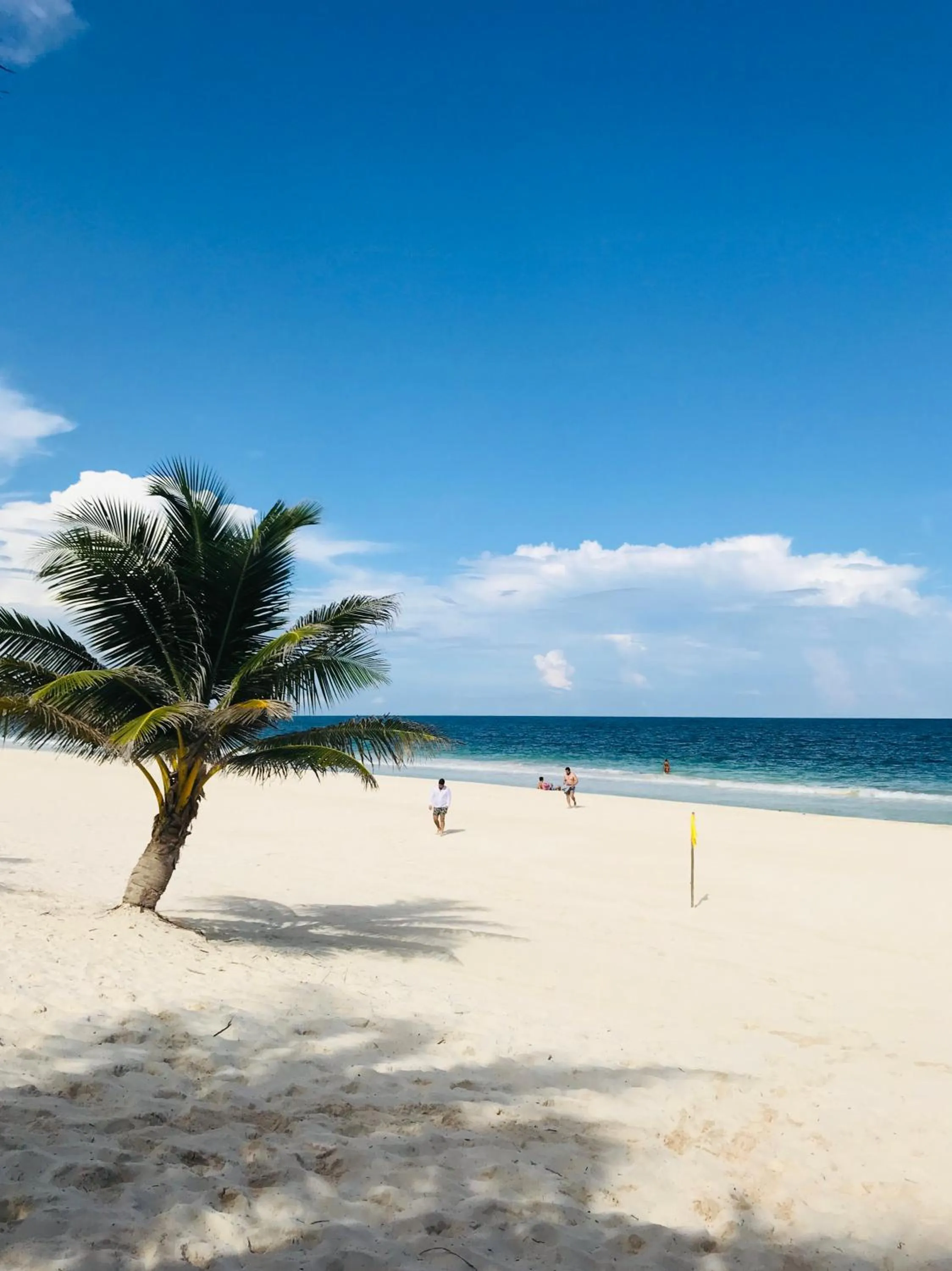 Beach in Luxury 5th Avenue Menesse 32