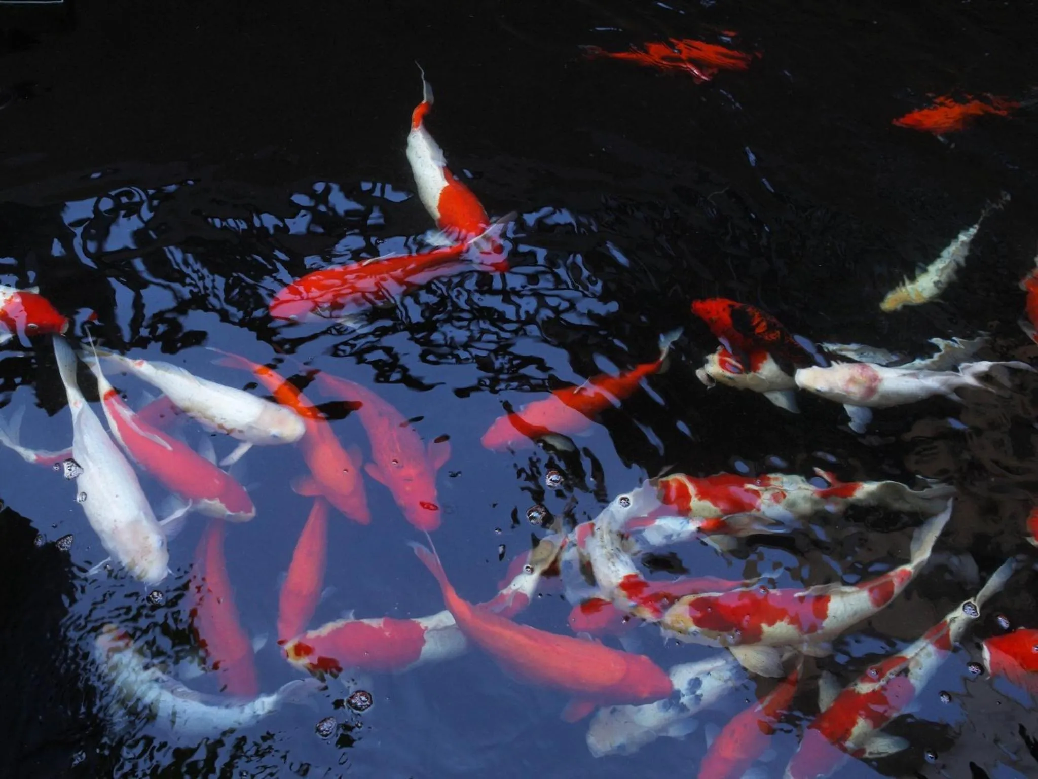 Decorative detail in Amari Vogue Krabi