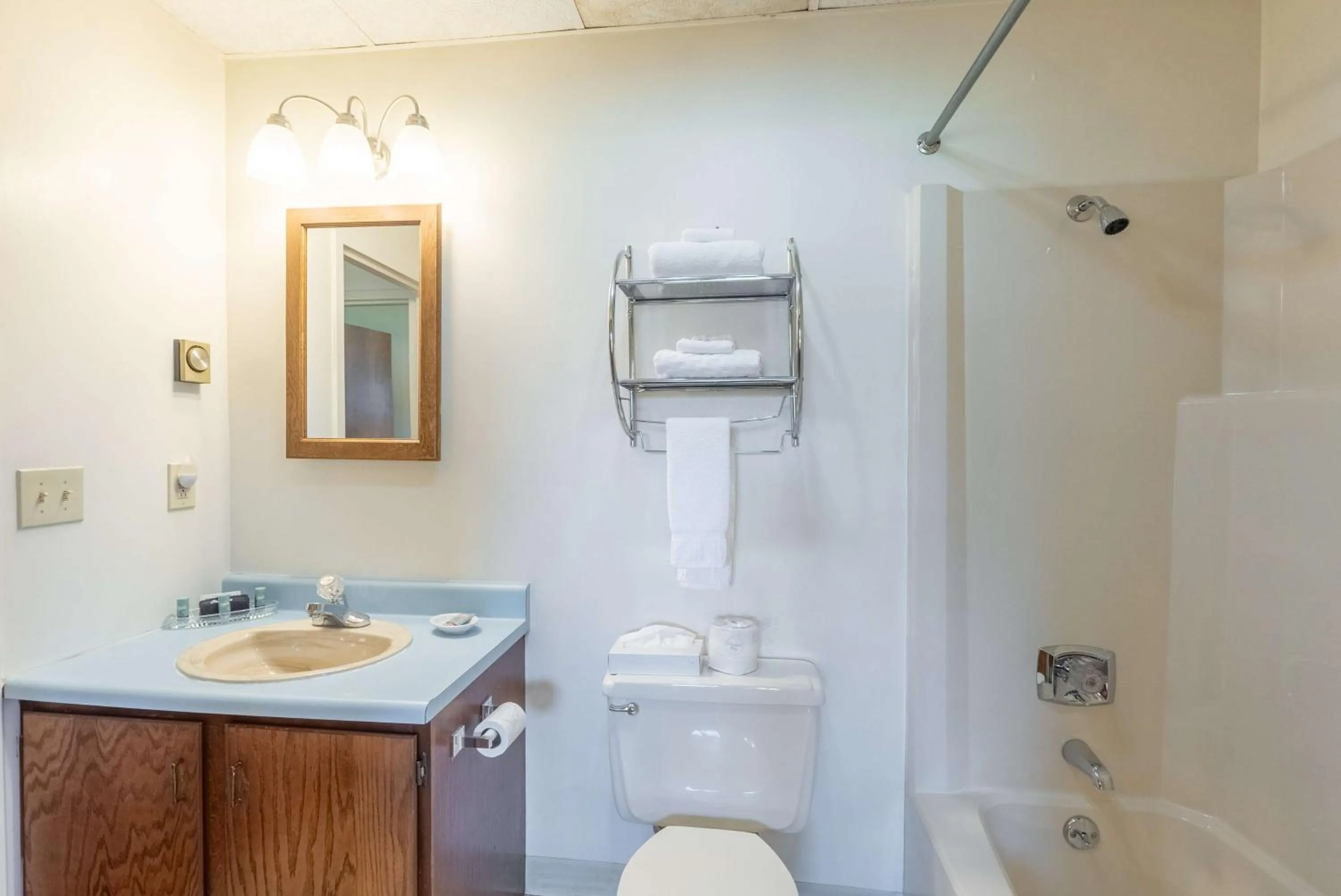 Bathroom in Fireside Inn and Suites Bangor