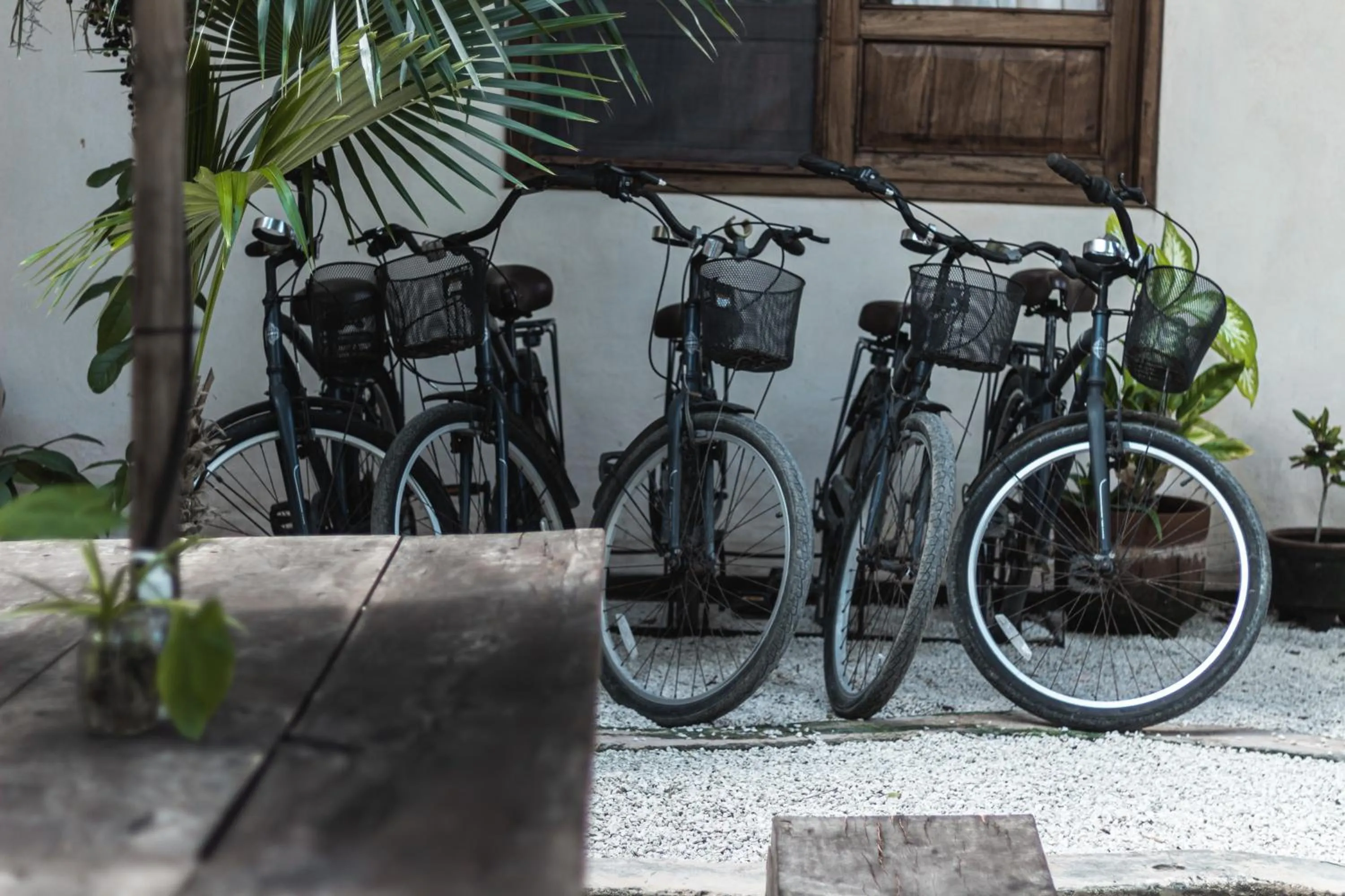 Activities in Chill Kanil