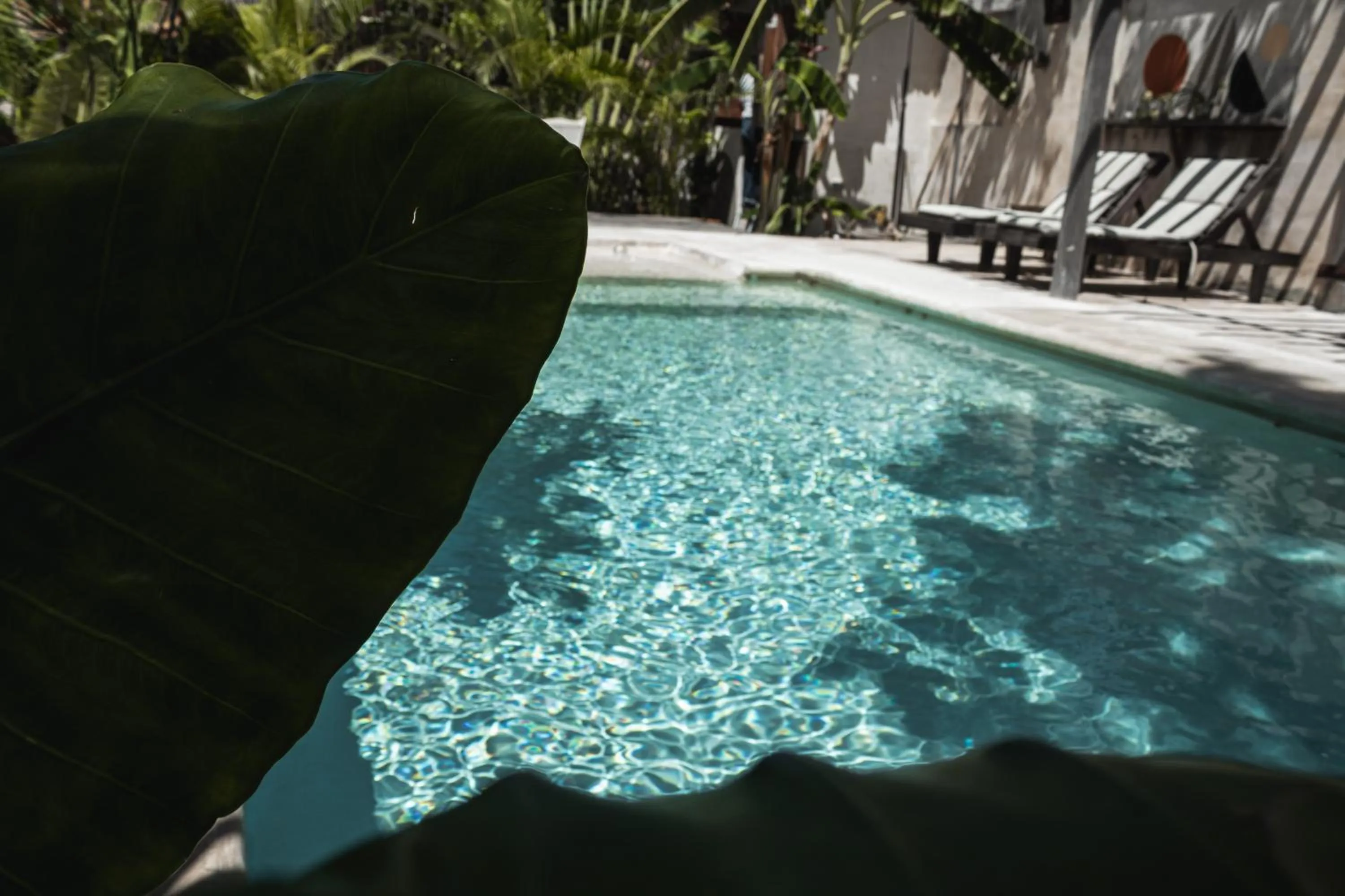 Swimming pool in Chill Kanil