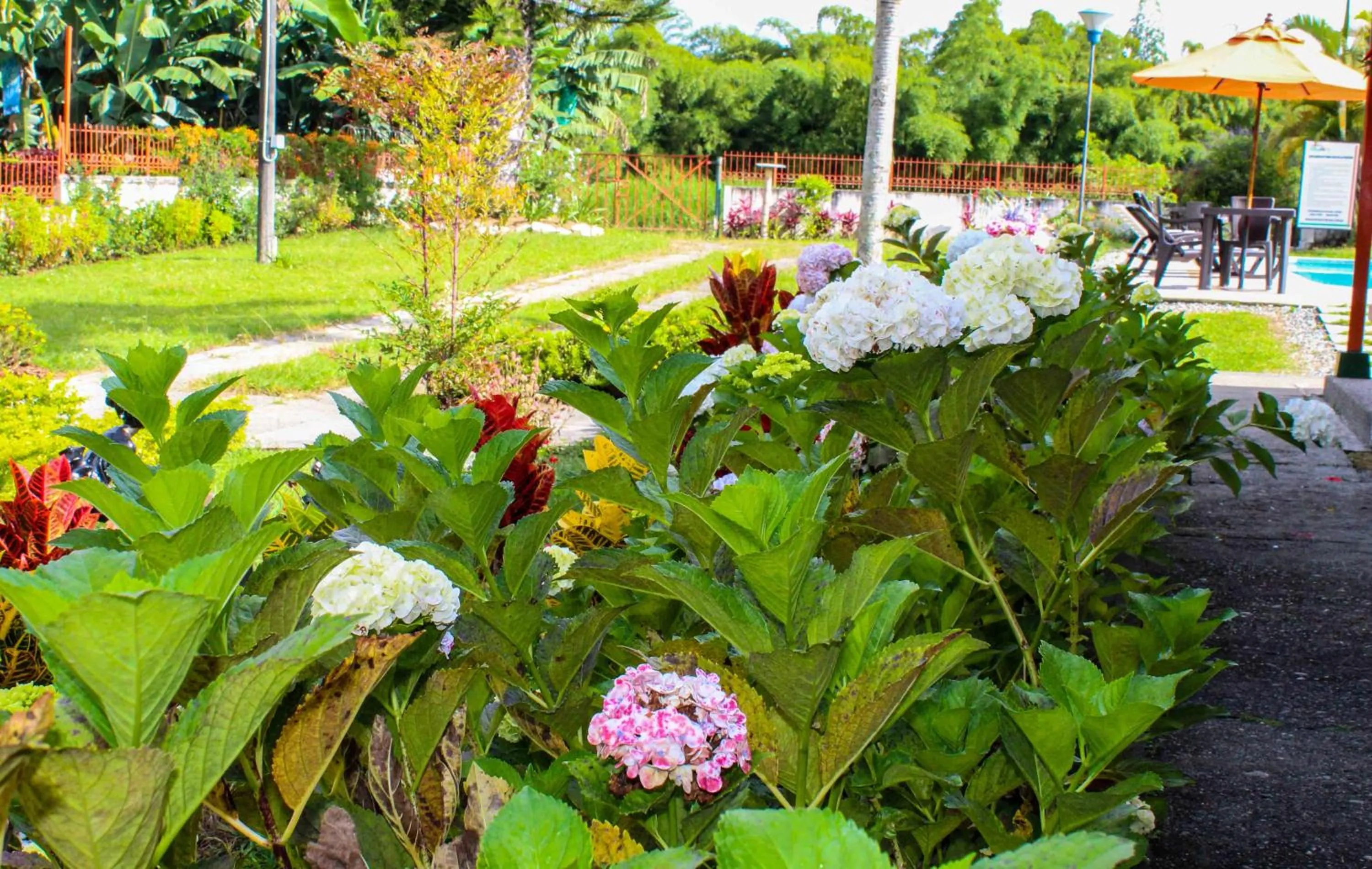 Spring in Hotel campestre La Floresta