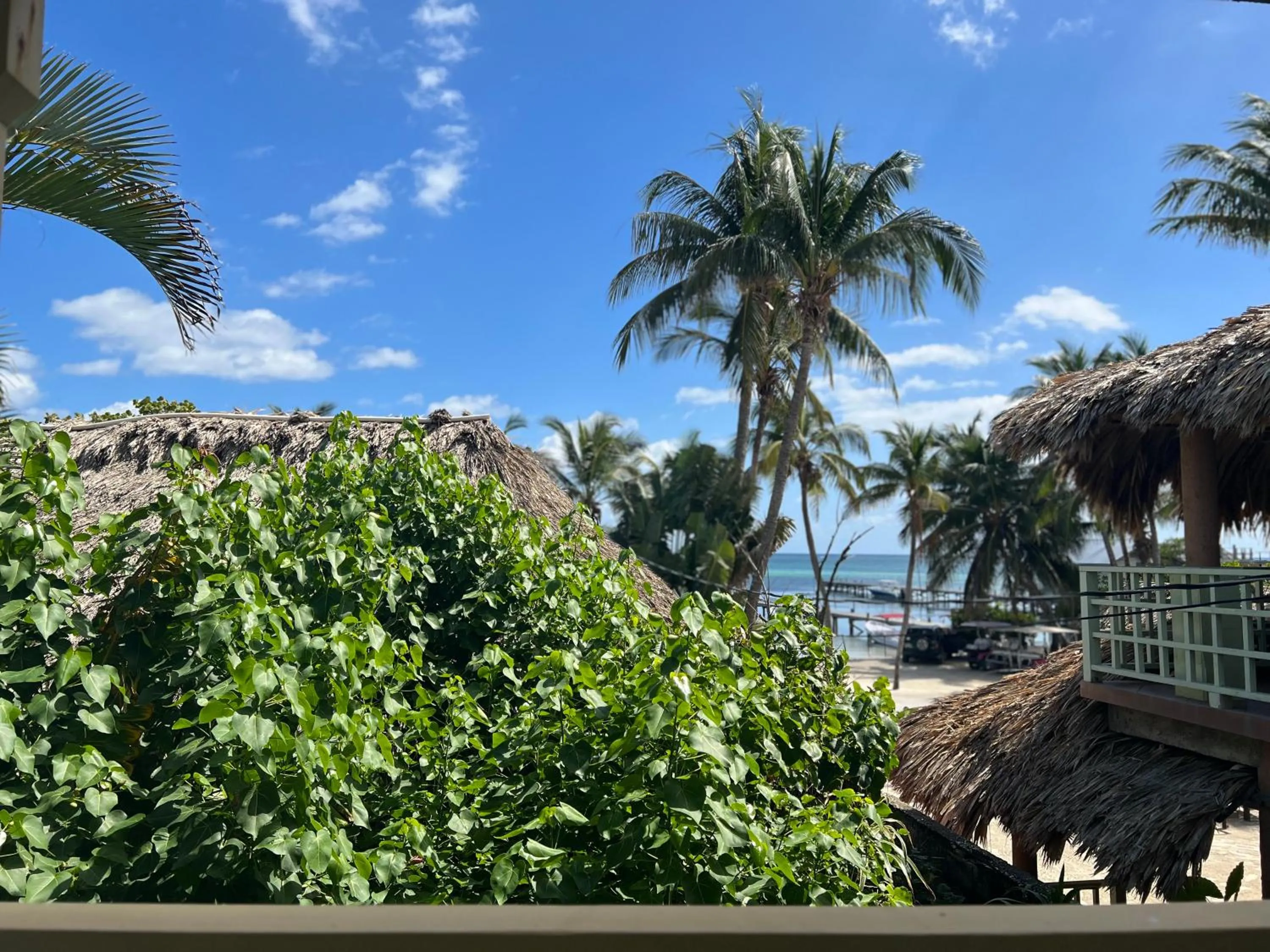 View (from property/room) in Hotel Del Rio