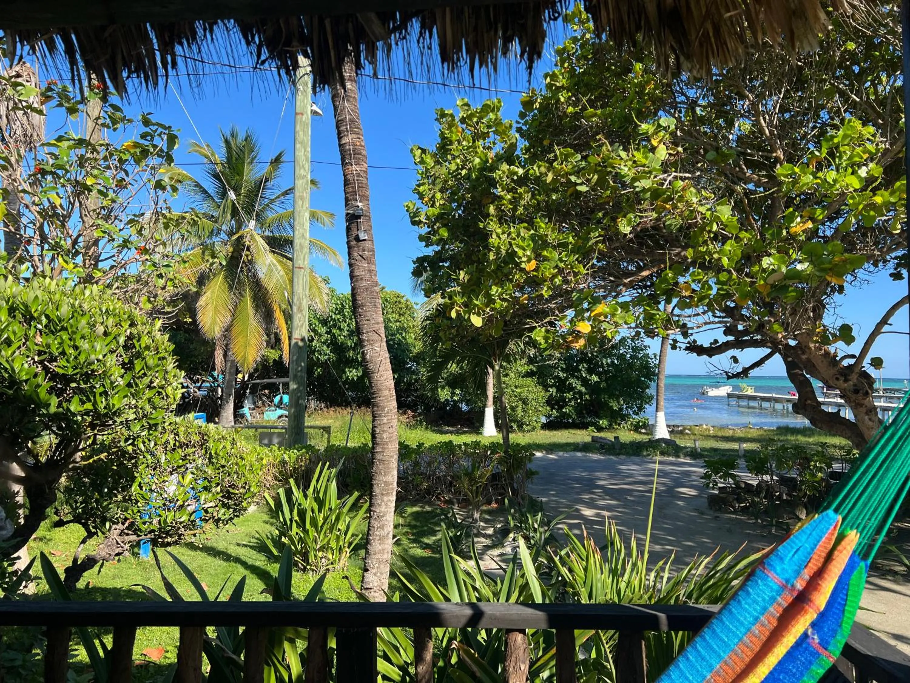 View (from property/room) in Hotel Del Rio