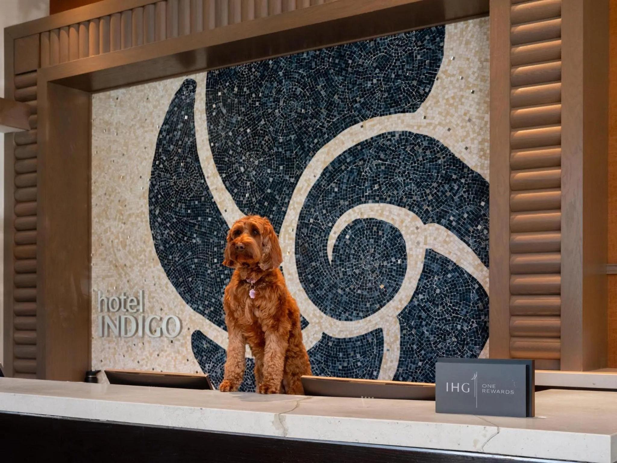 Property building in Hotel Indigo East End by IHG