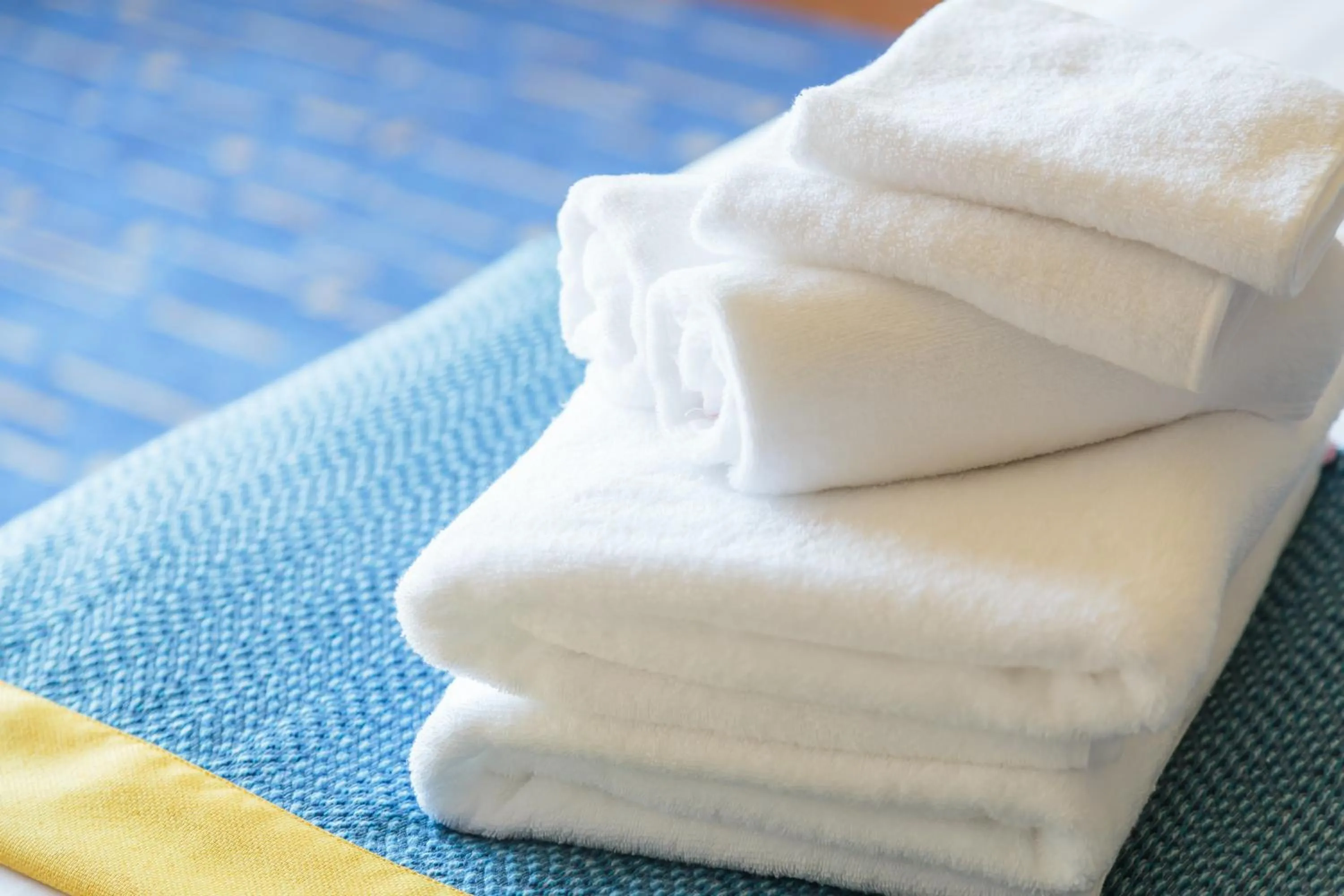 Area and facilities, Swimming Pool in Tokyo Bay Tokyu Hotel