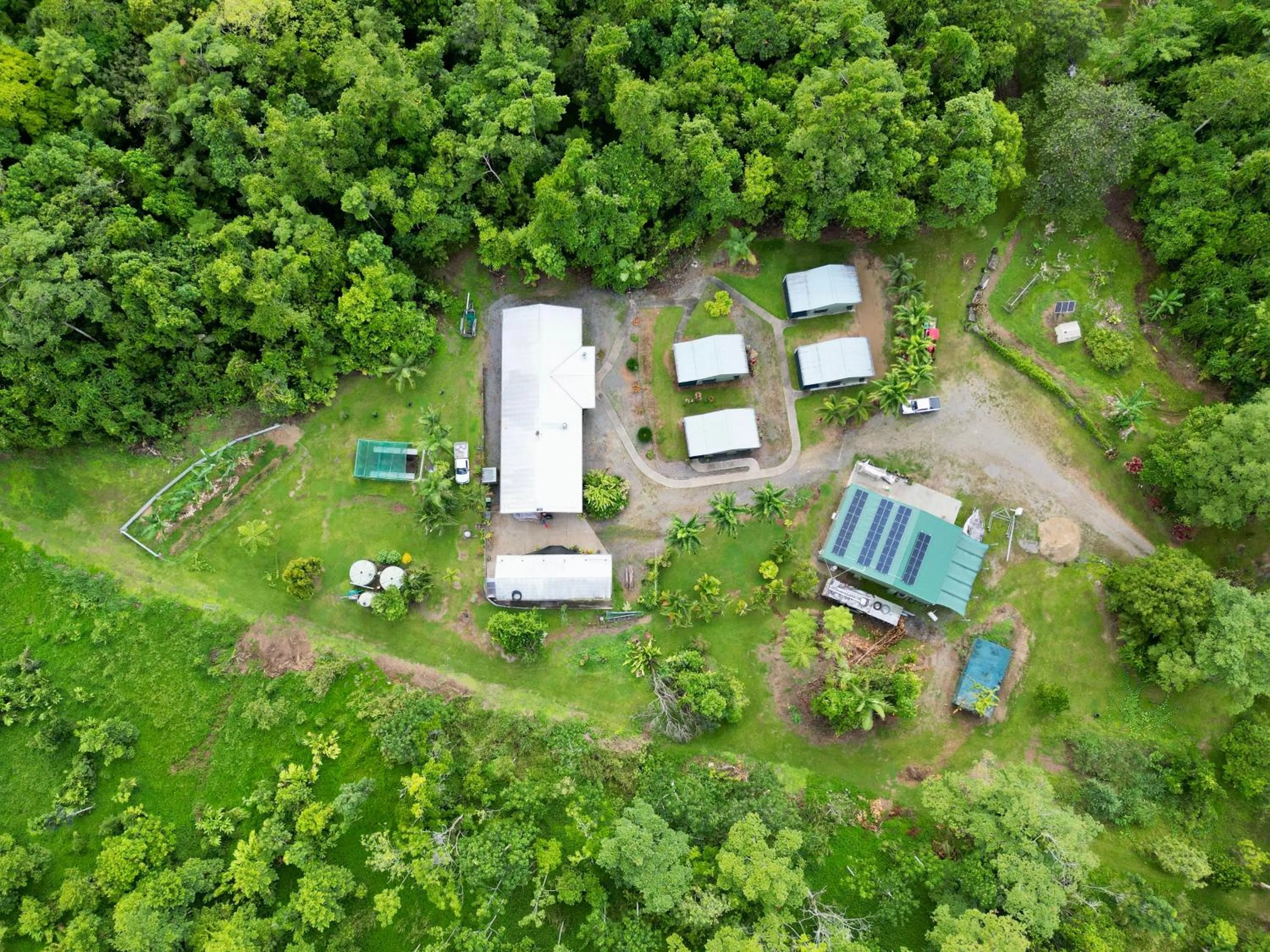 Bird's eye view in Daintree Peaks ECO Stays