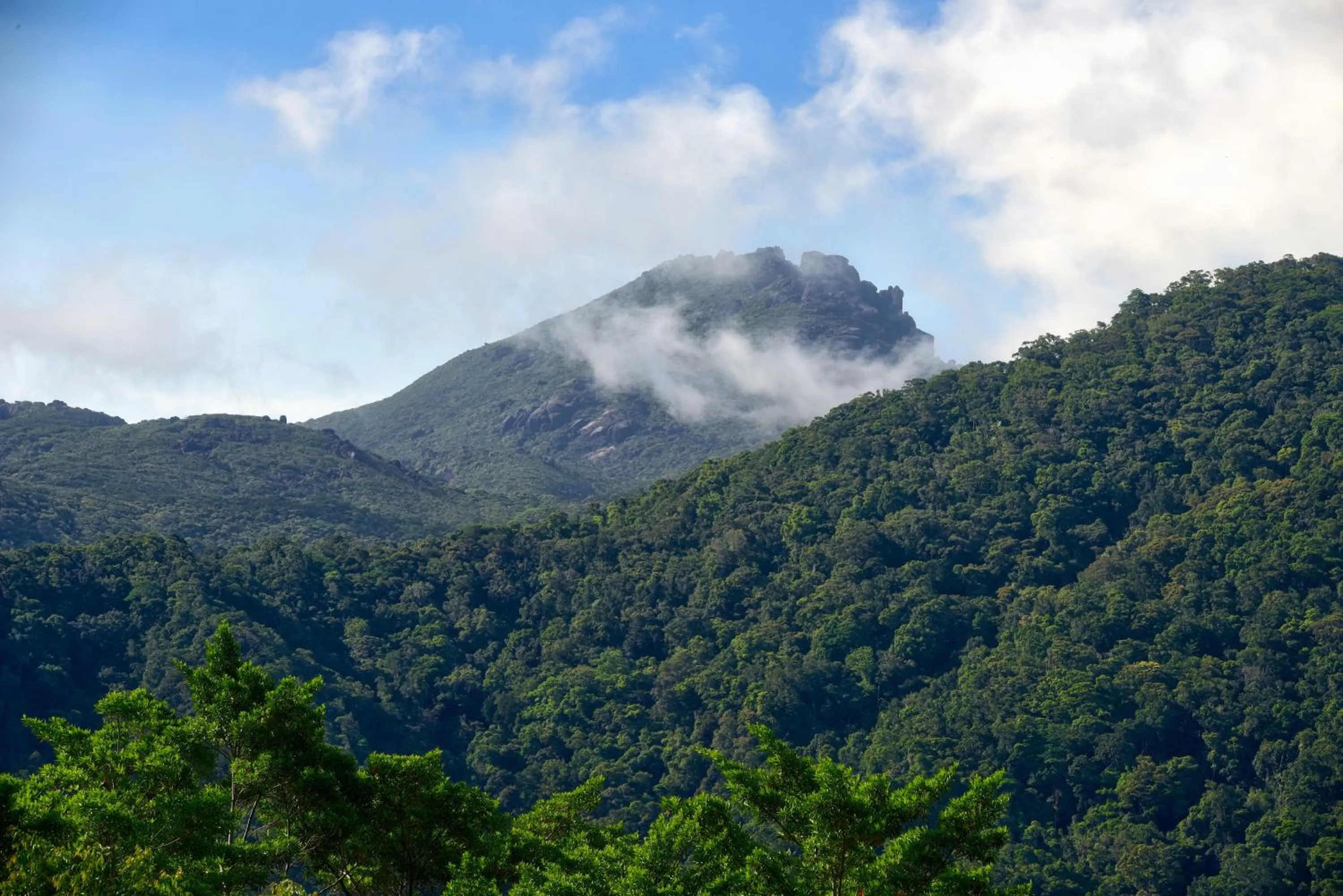 Nearby landmark in Daintree Peaks ECO Stays