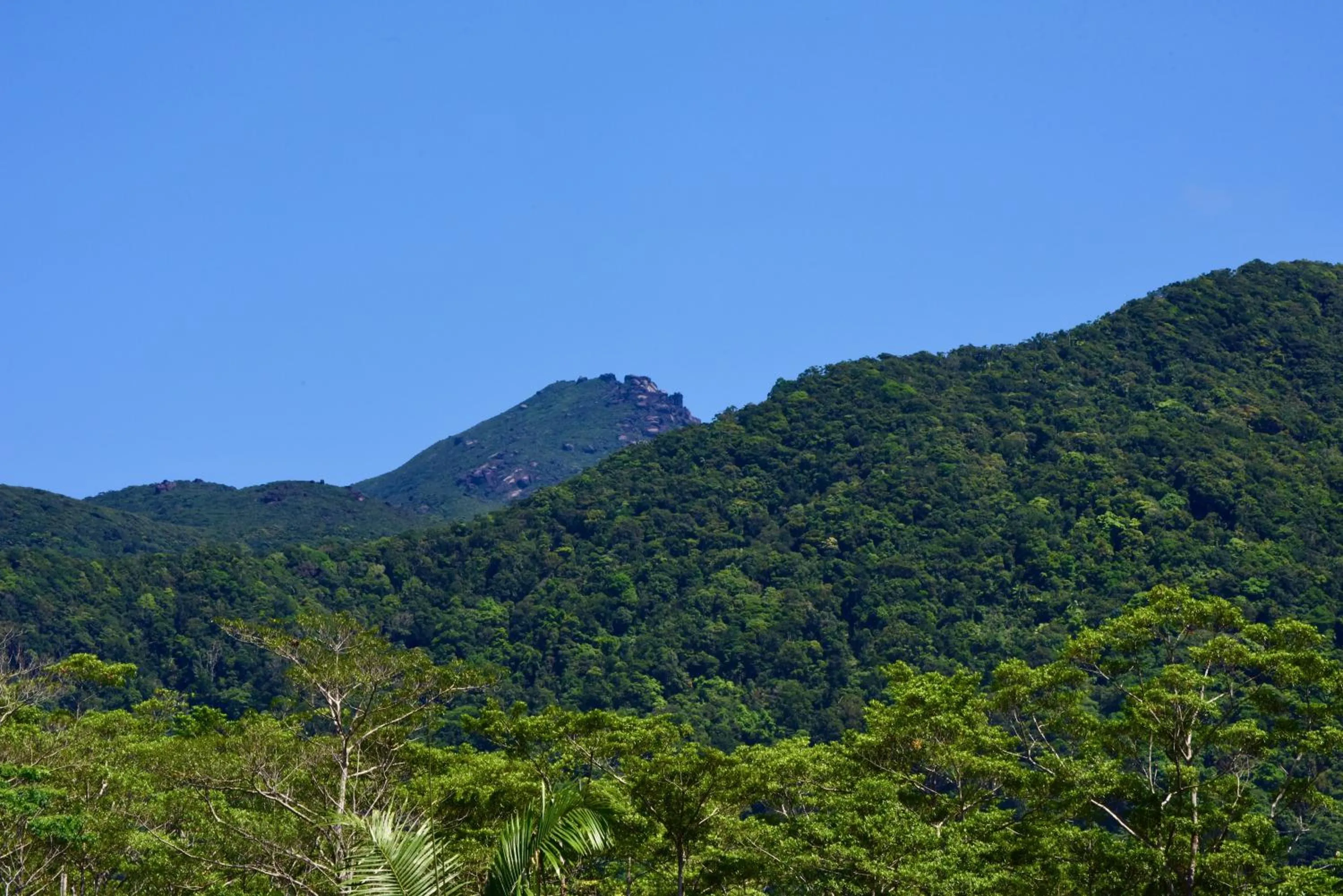 Nearby landmark in Daintree Peaks ECO Stays