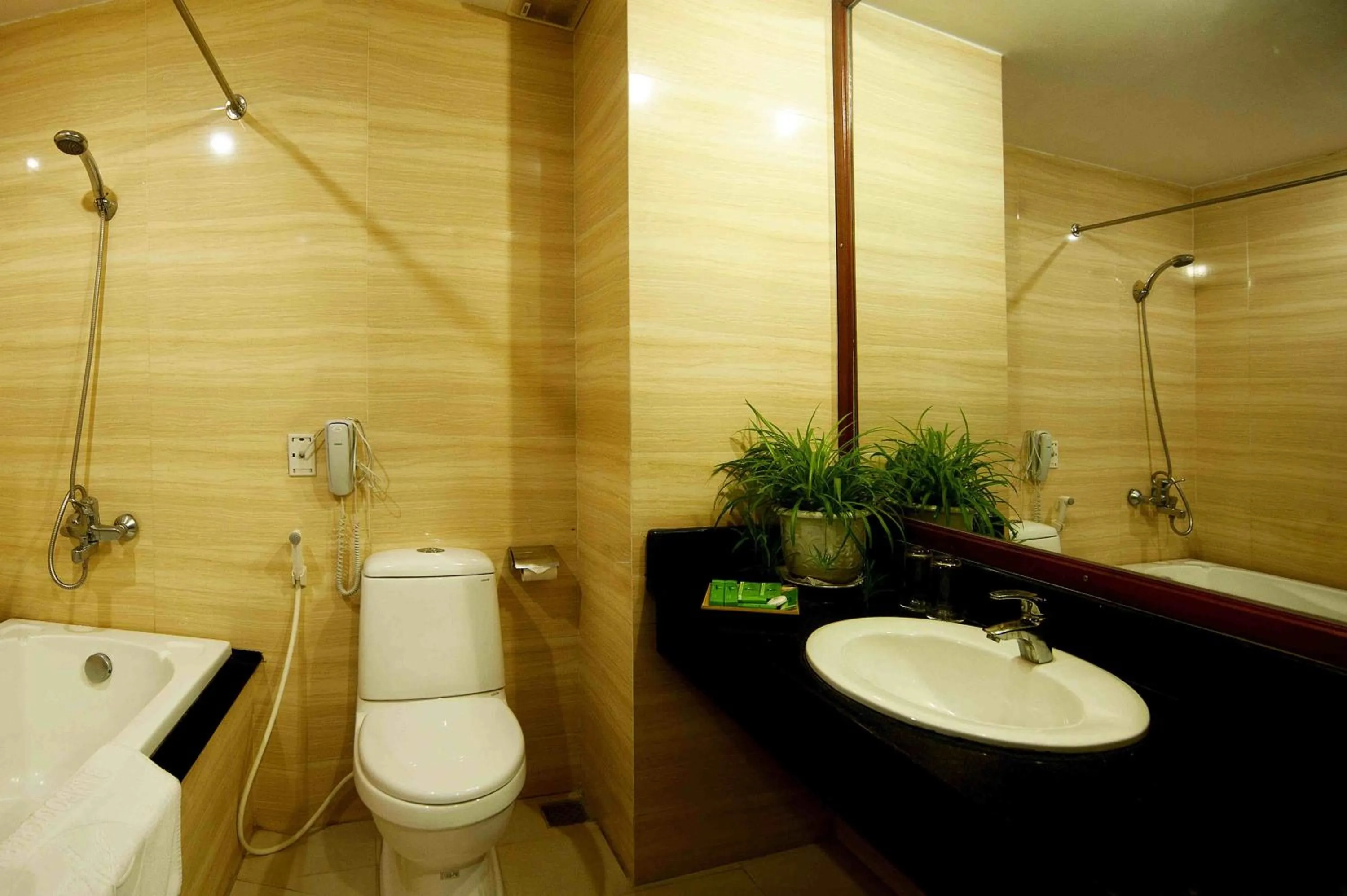 Bathroom in Bamboo Green Central Hotel