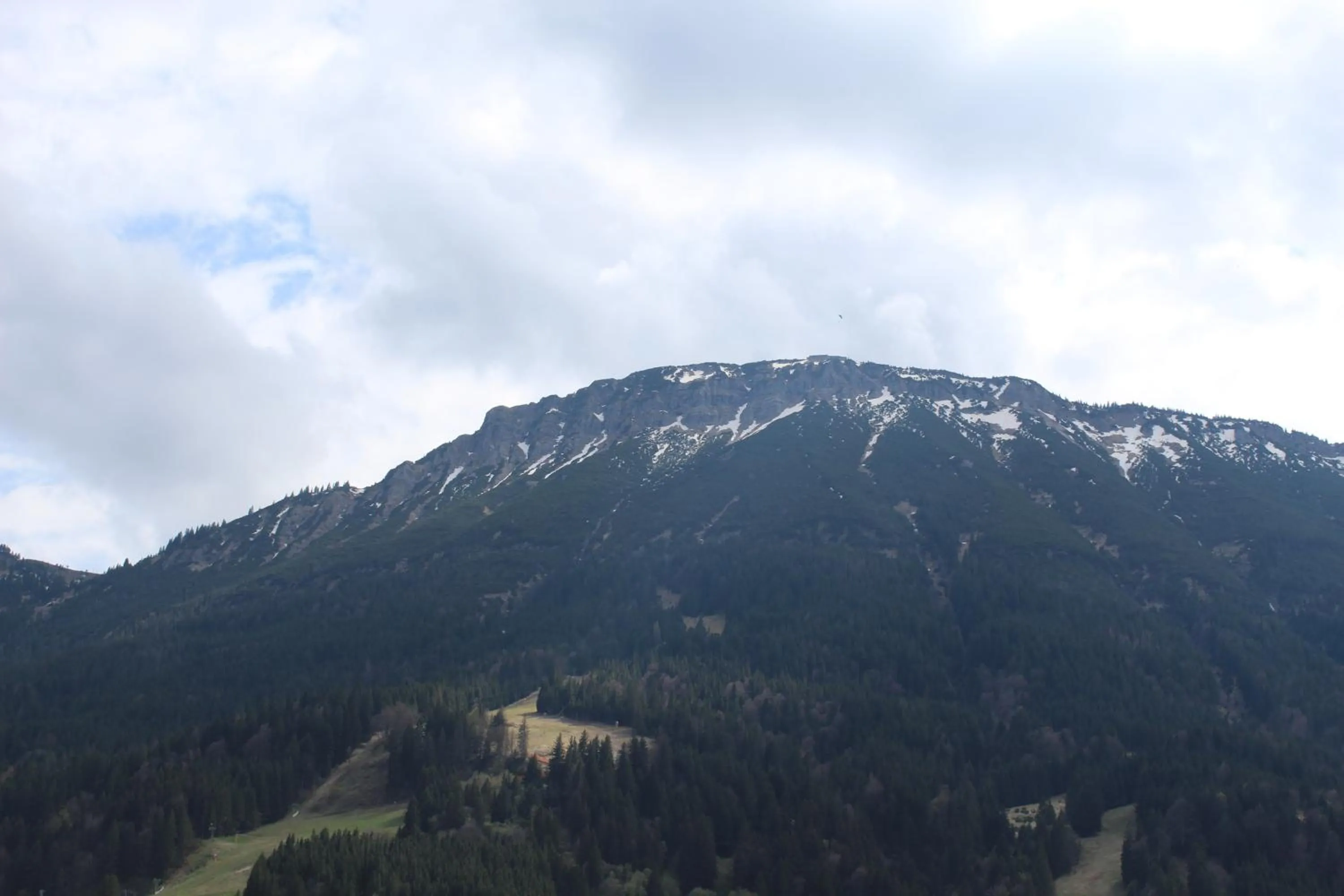 View (from property/room) in Appartement-Hotel Happy Kienberg