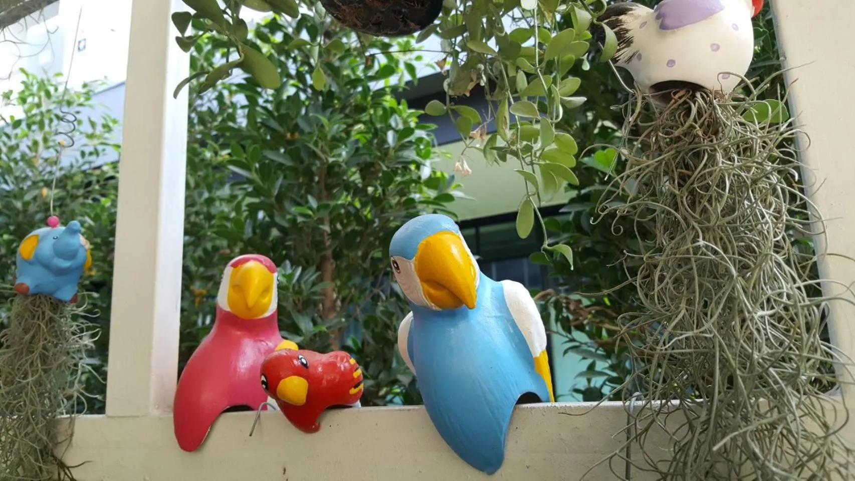 Natural landscape in Aunt & Uncle's House