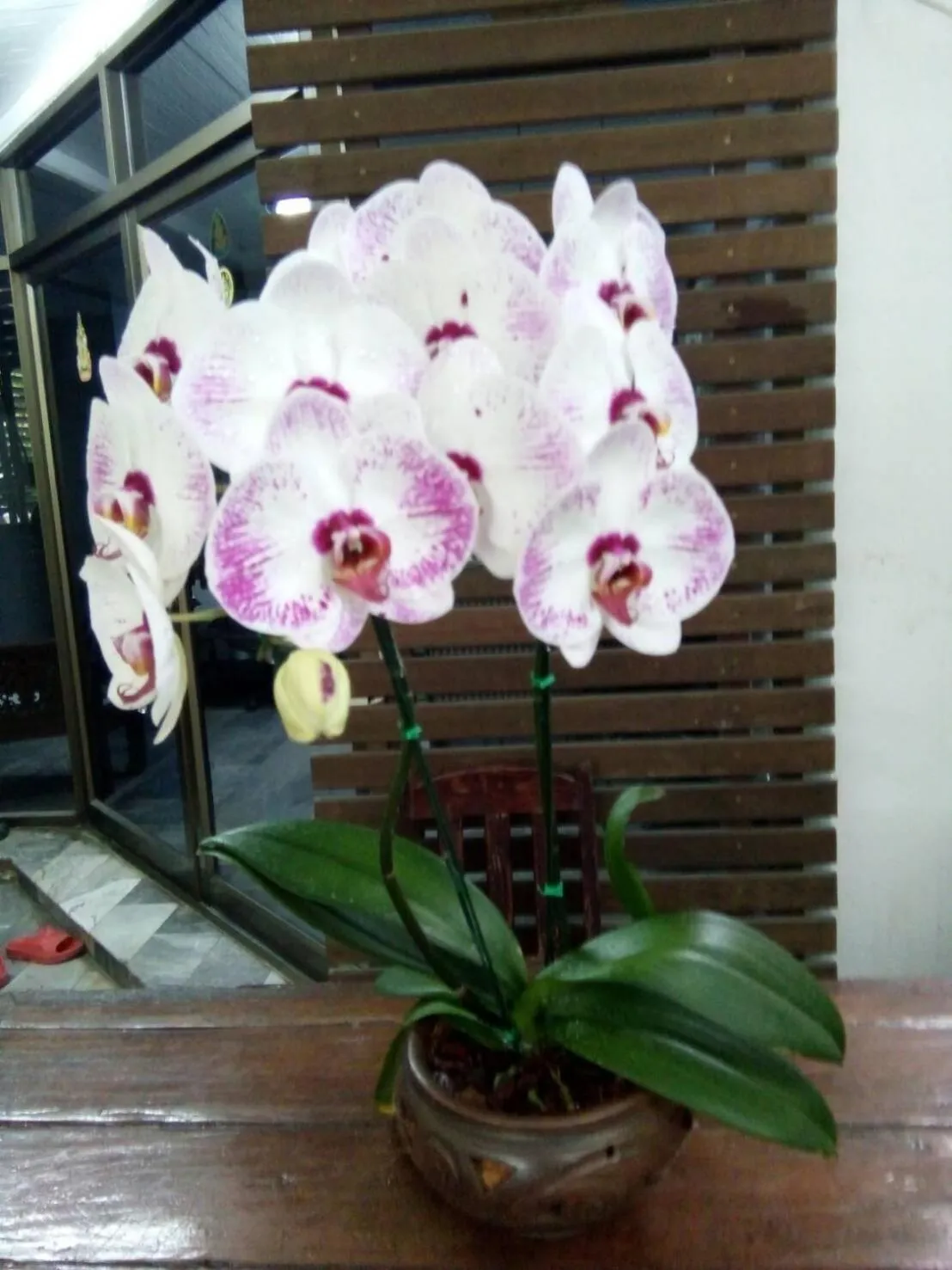 Aunt & Uncle's House