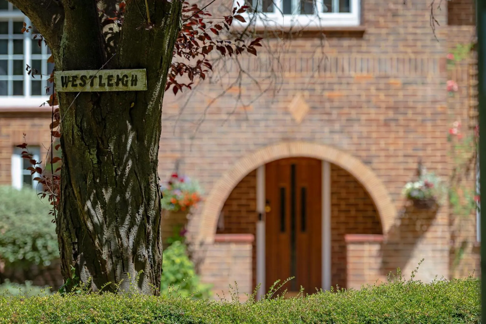 Property building in Westleigh